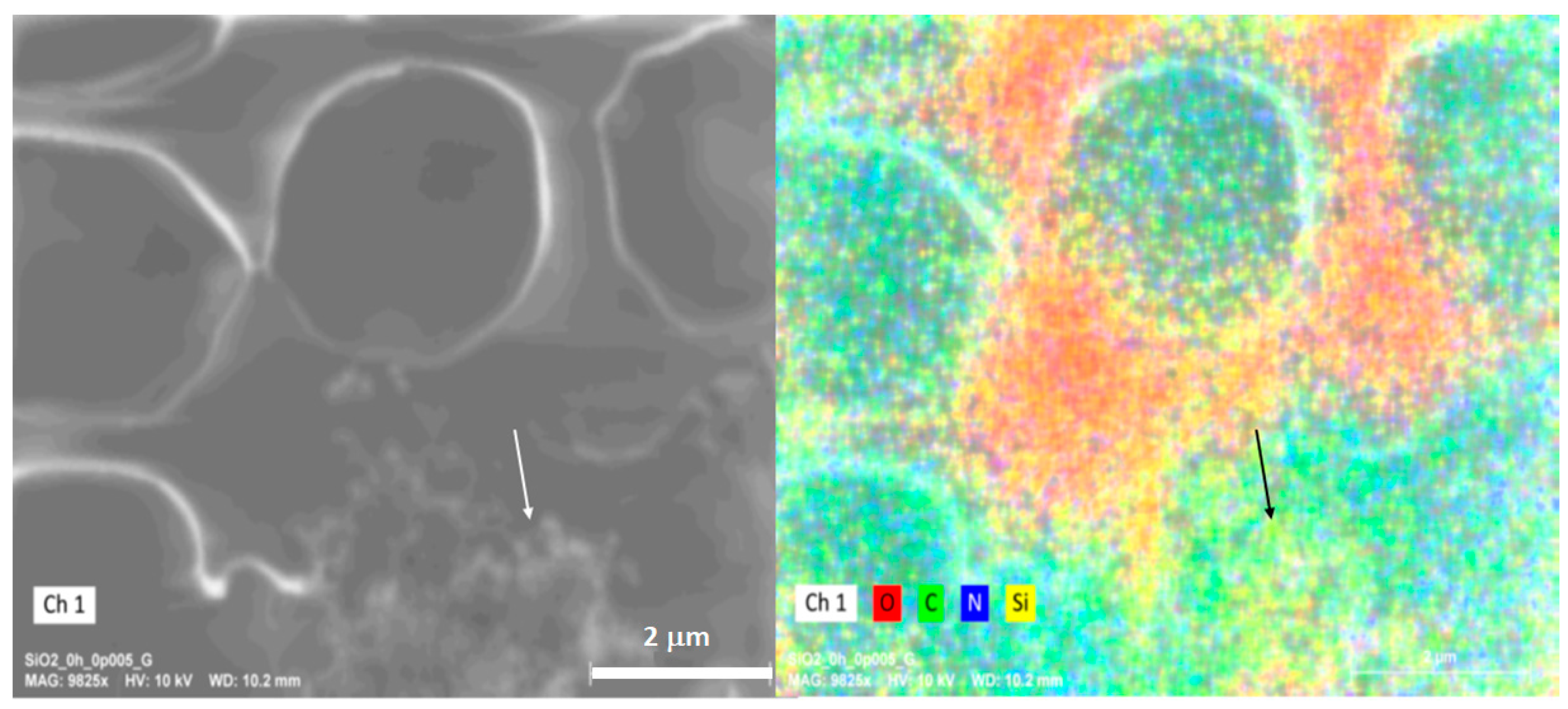 Toxics 12 00092 g010