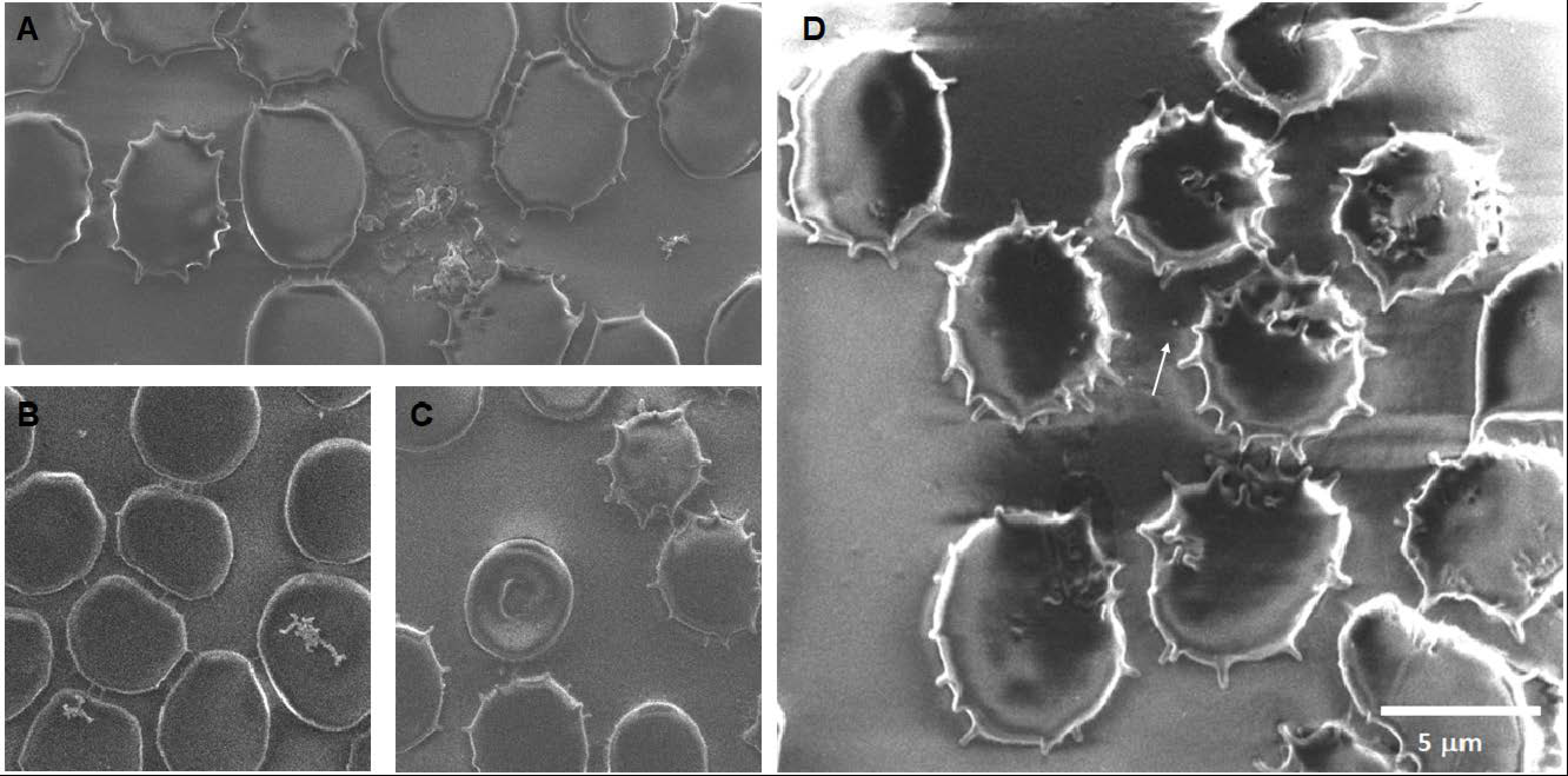 Toxics 12 00092 g012