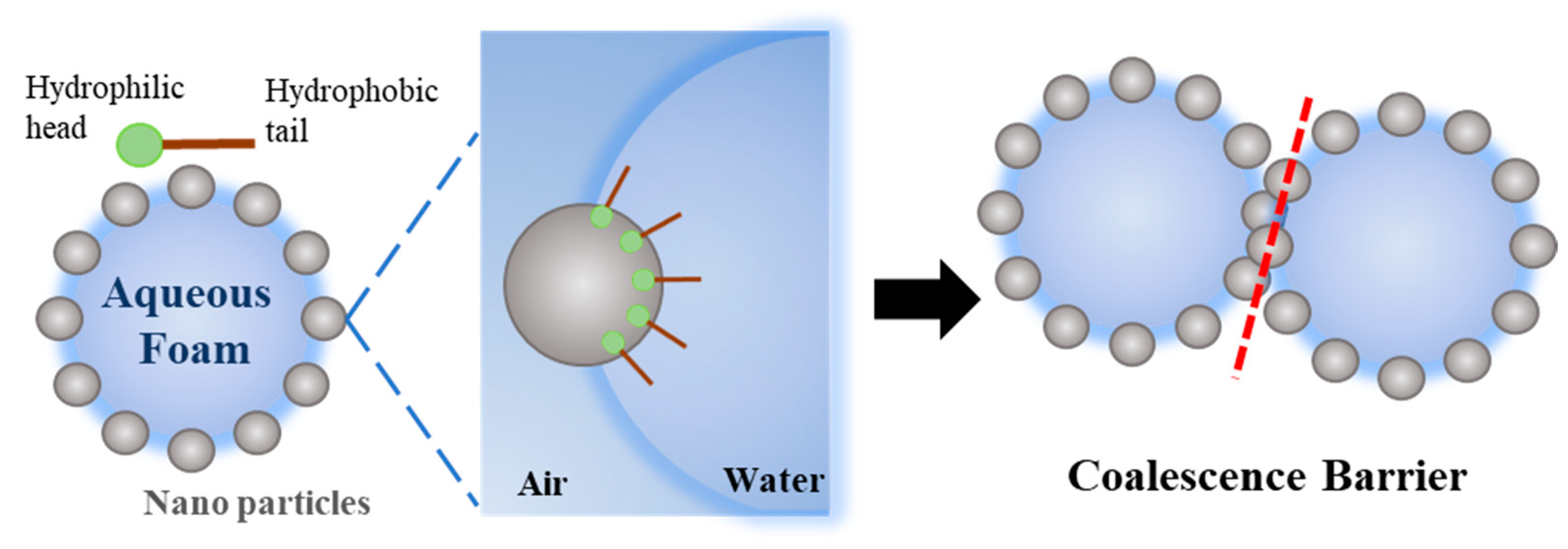 Toxics 12 00099 g009