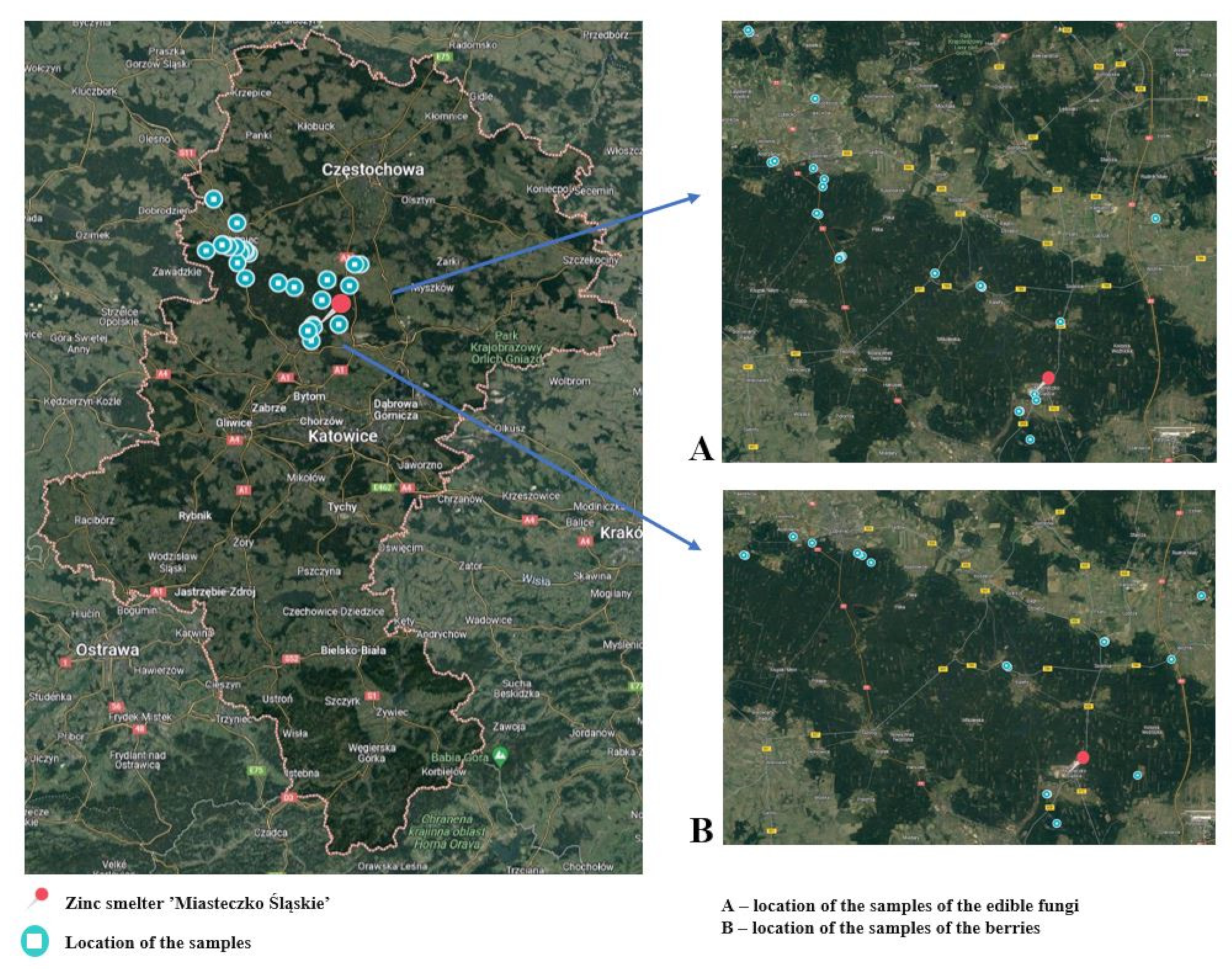 Toxics 12 00101 g001