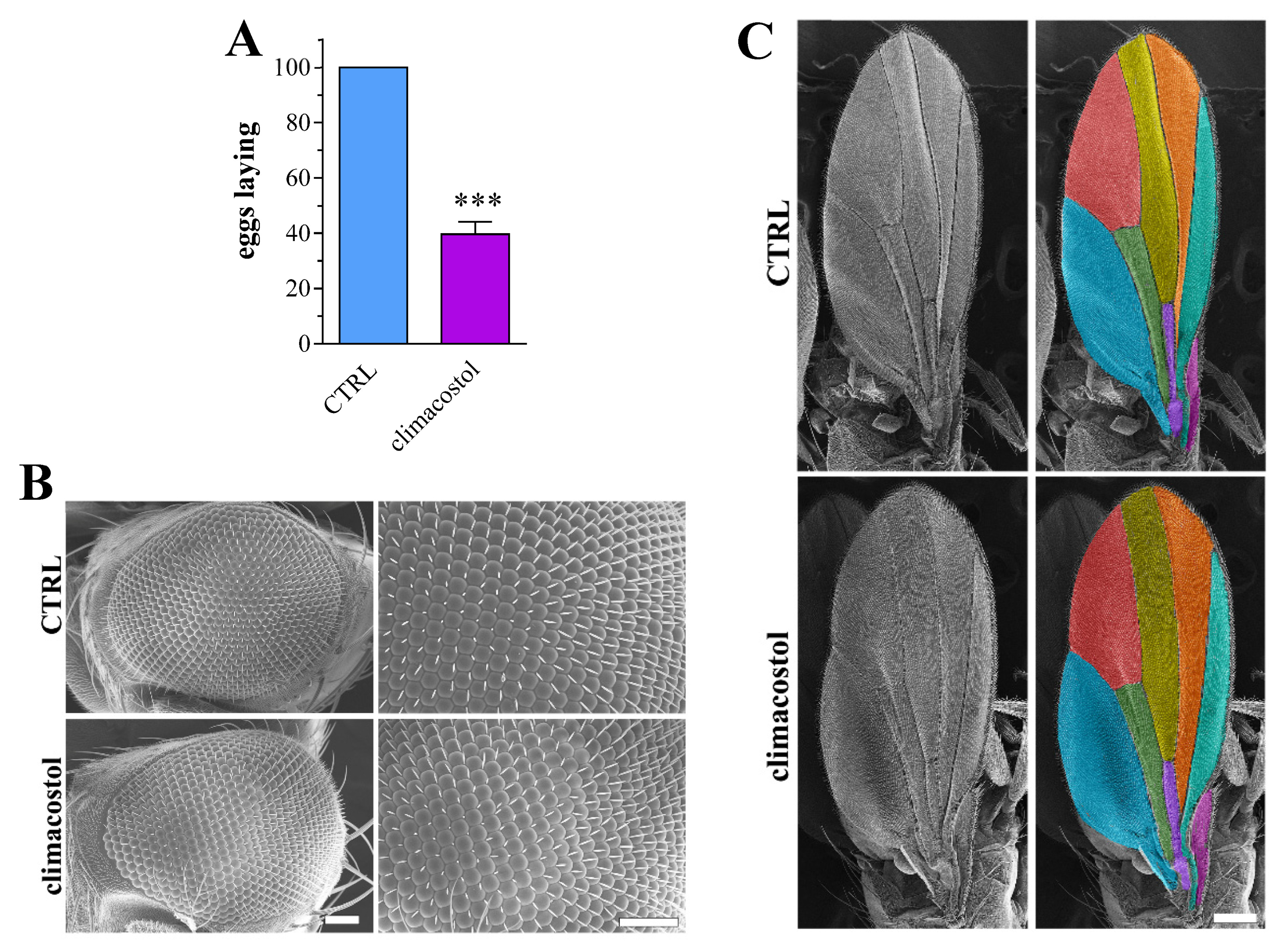 Toxics 12 00102 g006