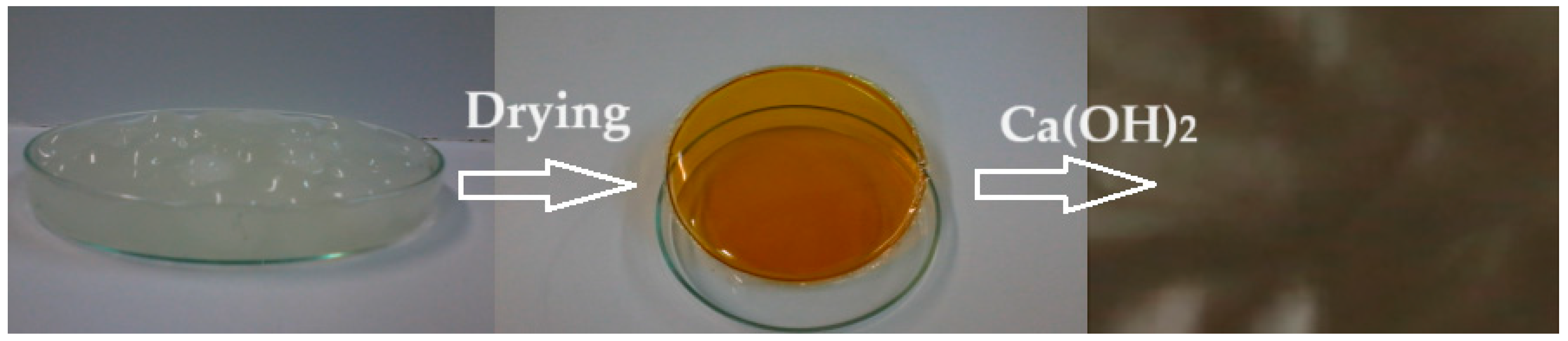 Toxics 12 00103 g001