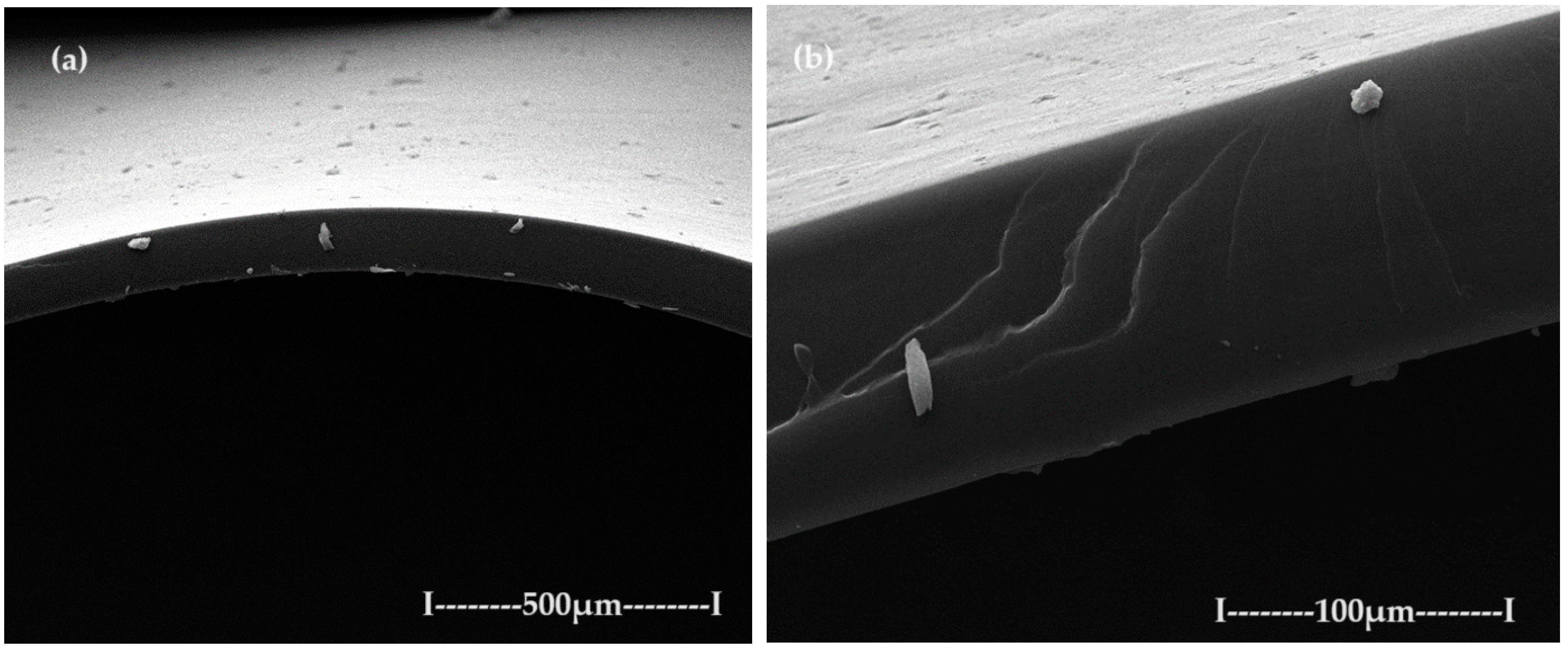 Toxics 12 00103 g006