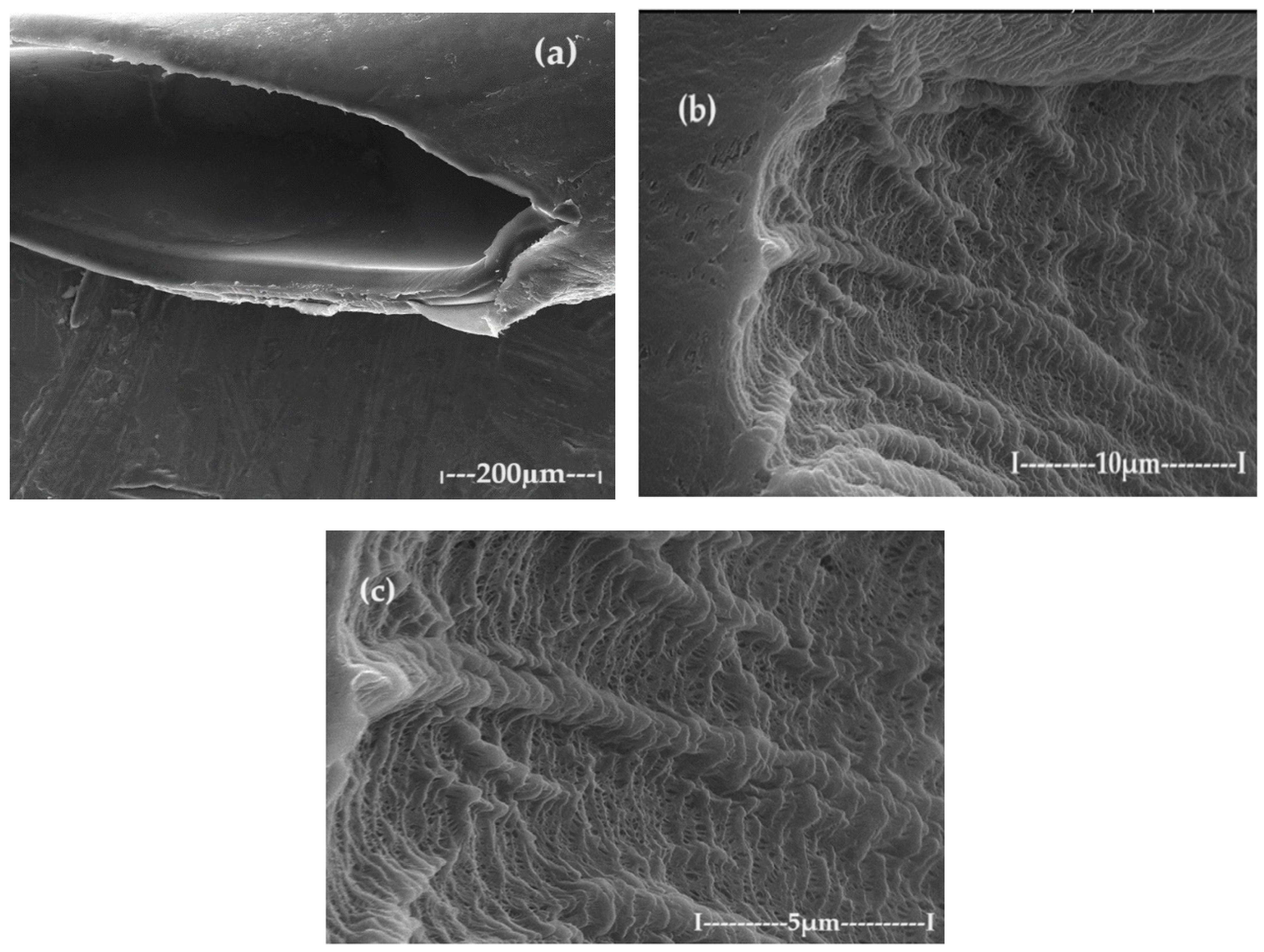 Toxics 12 00103 g009