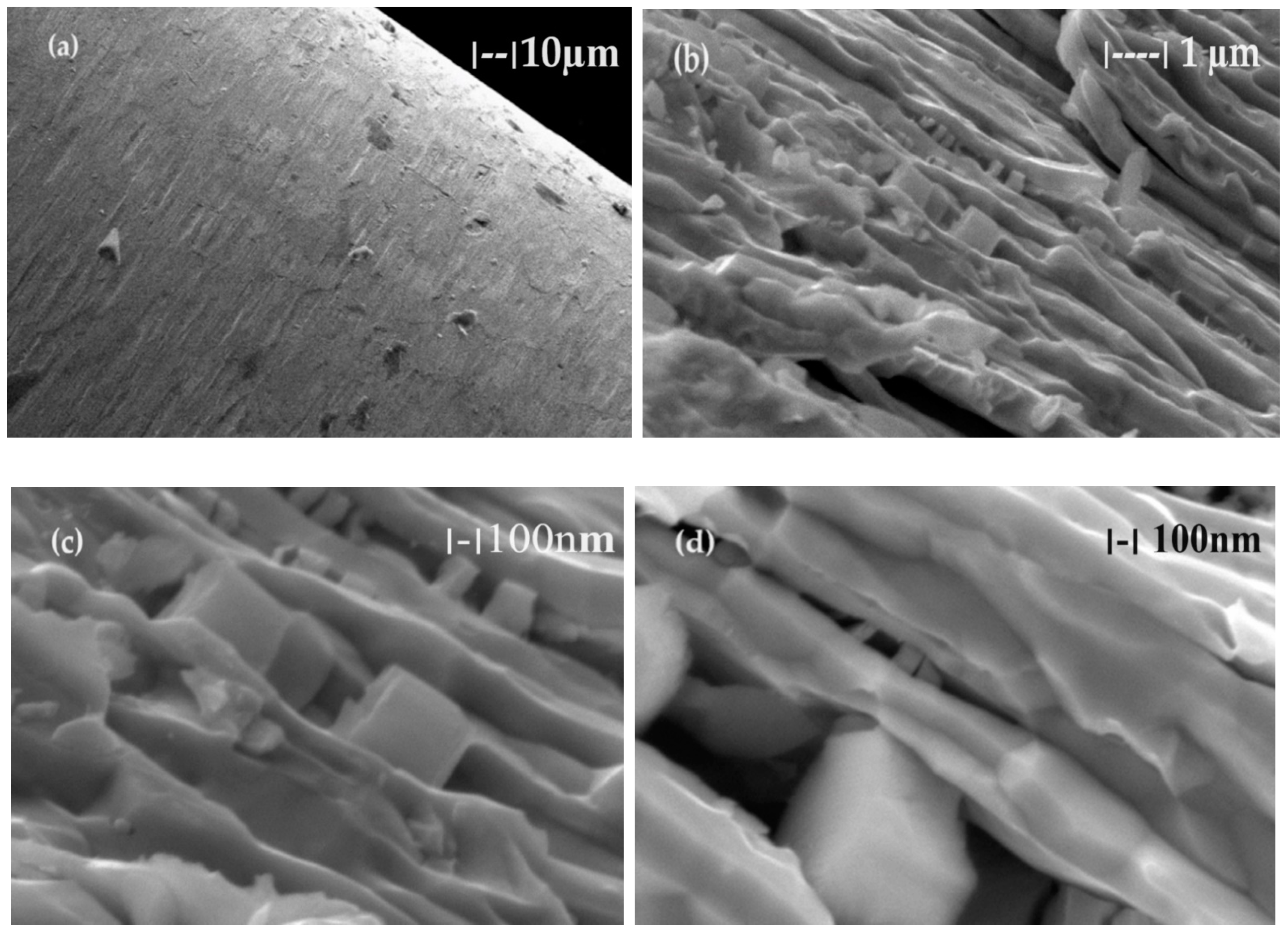 Toxics 12 00103 g010