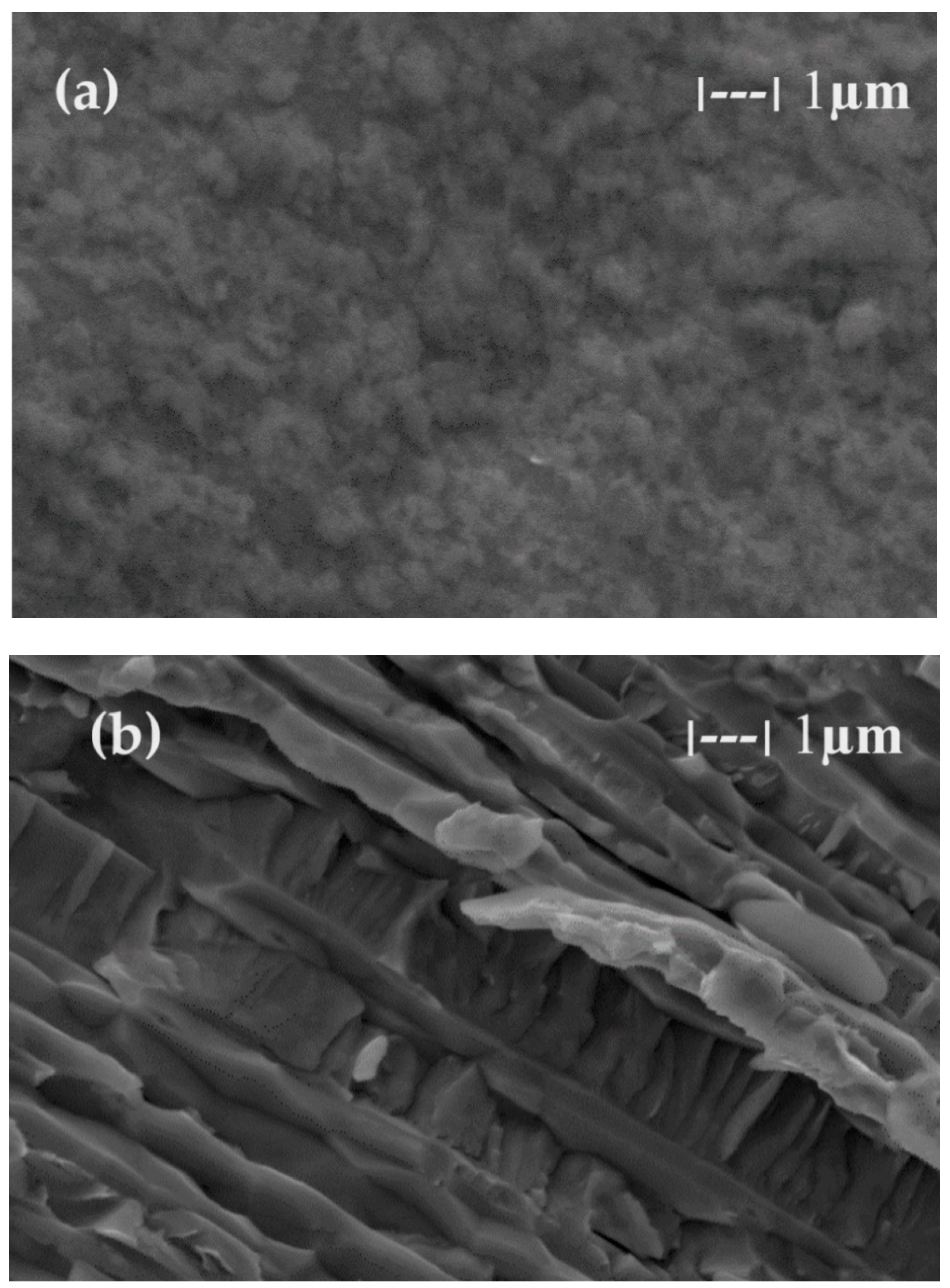 Toxics 12 00103 g015