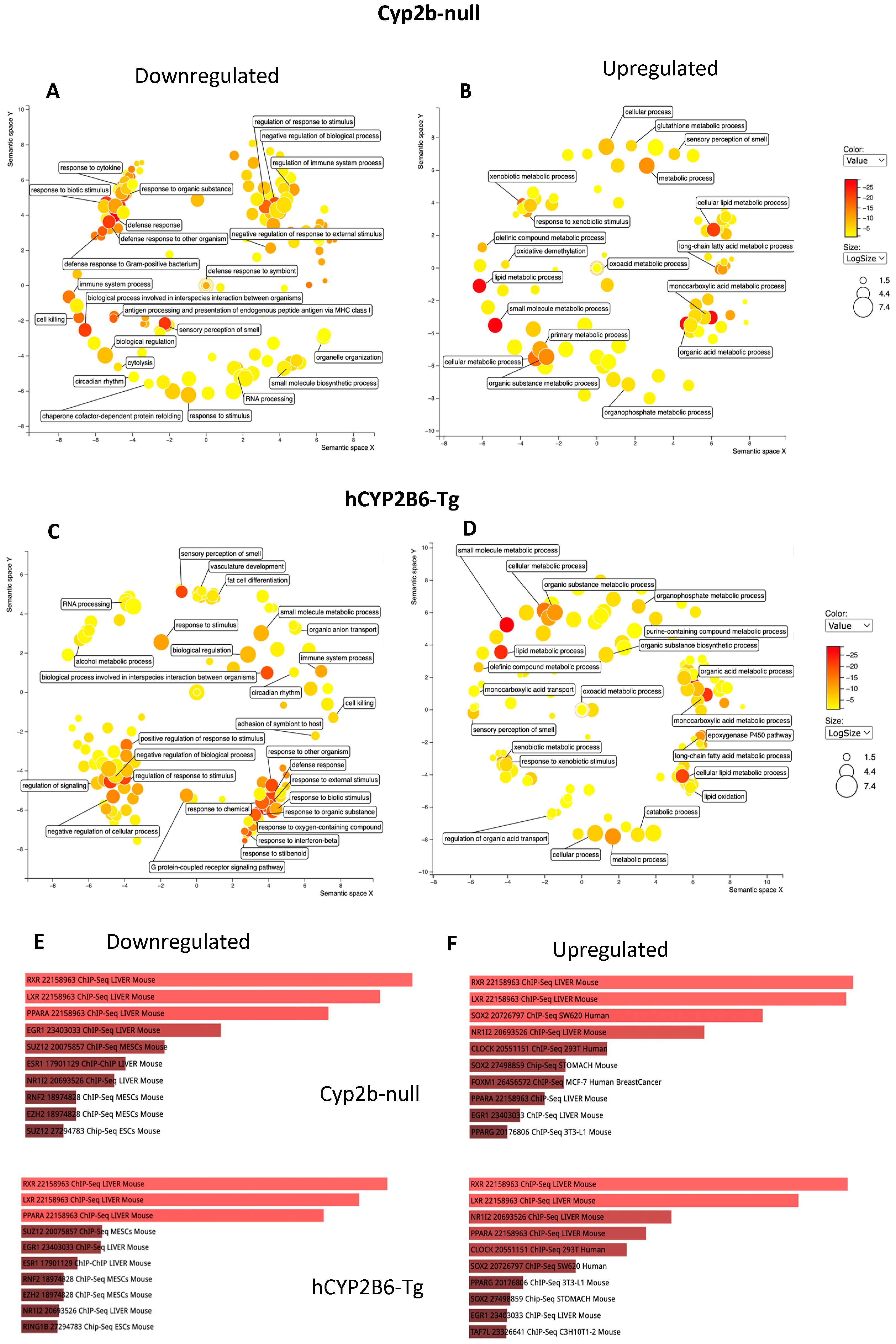 Toxics 12 00106 g005