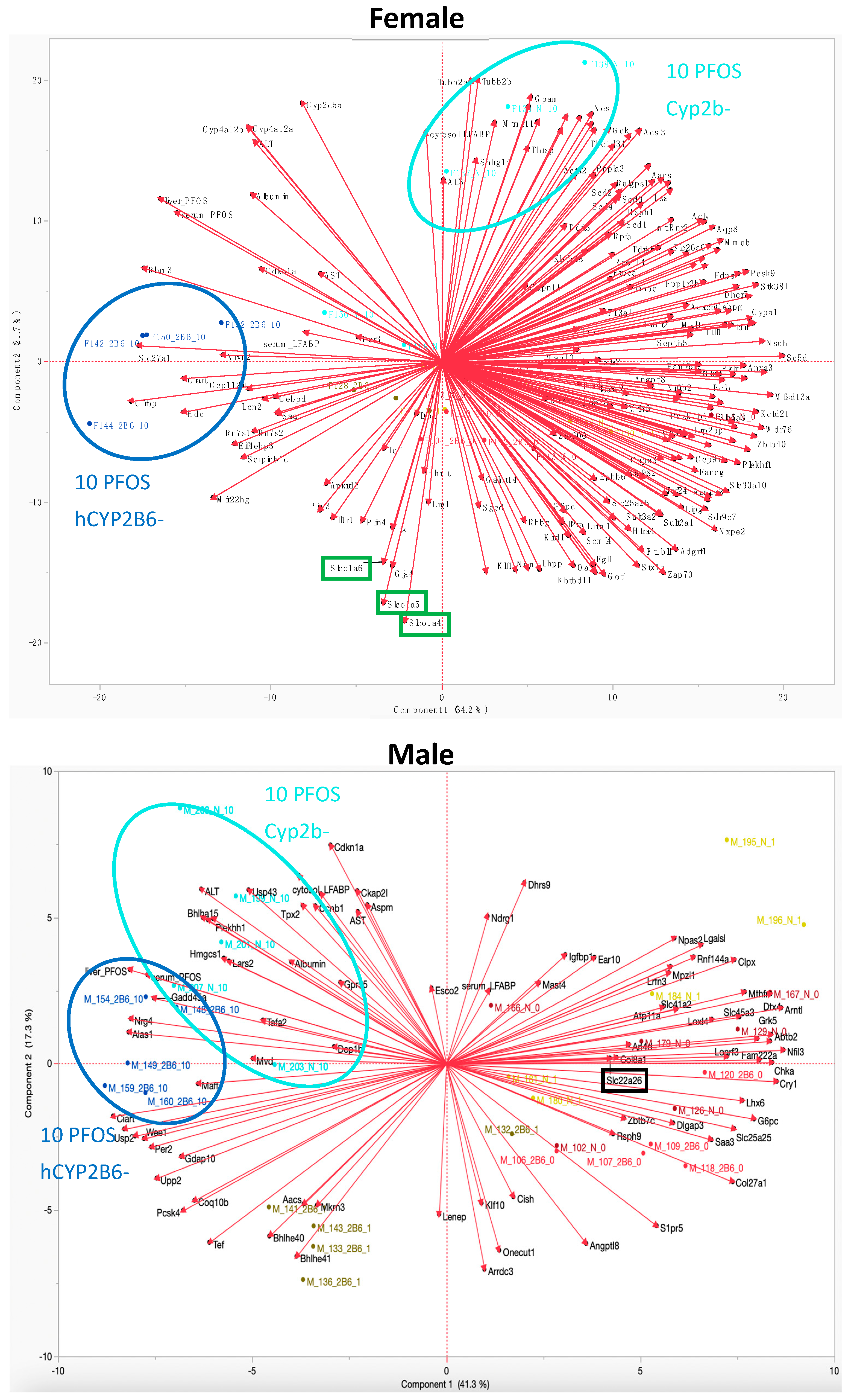 Toxics 12 00106 g008