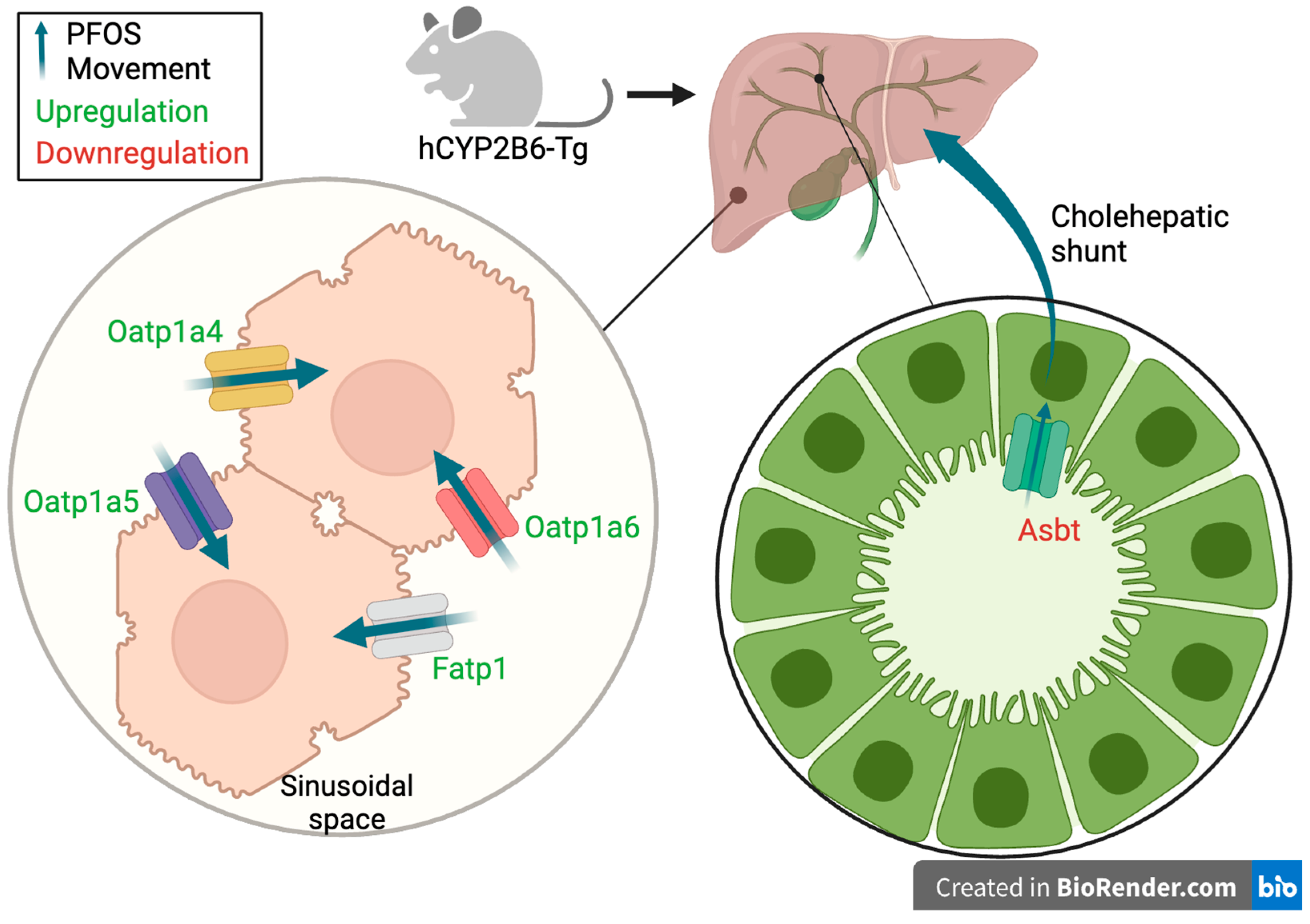 Toxics 12 00106 g010