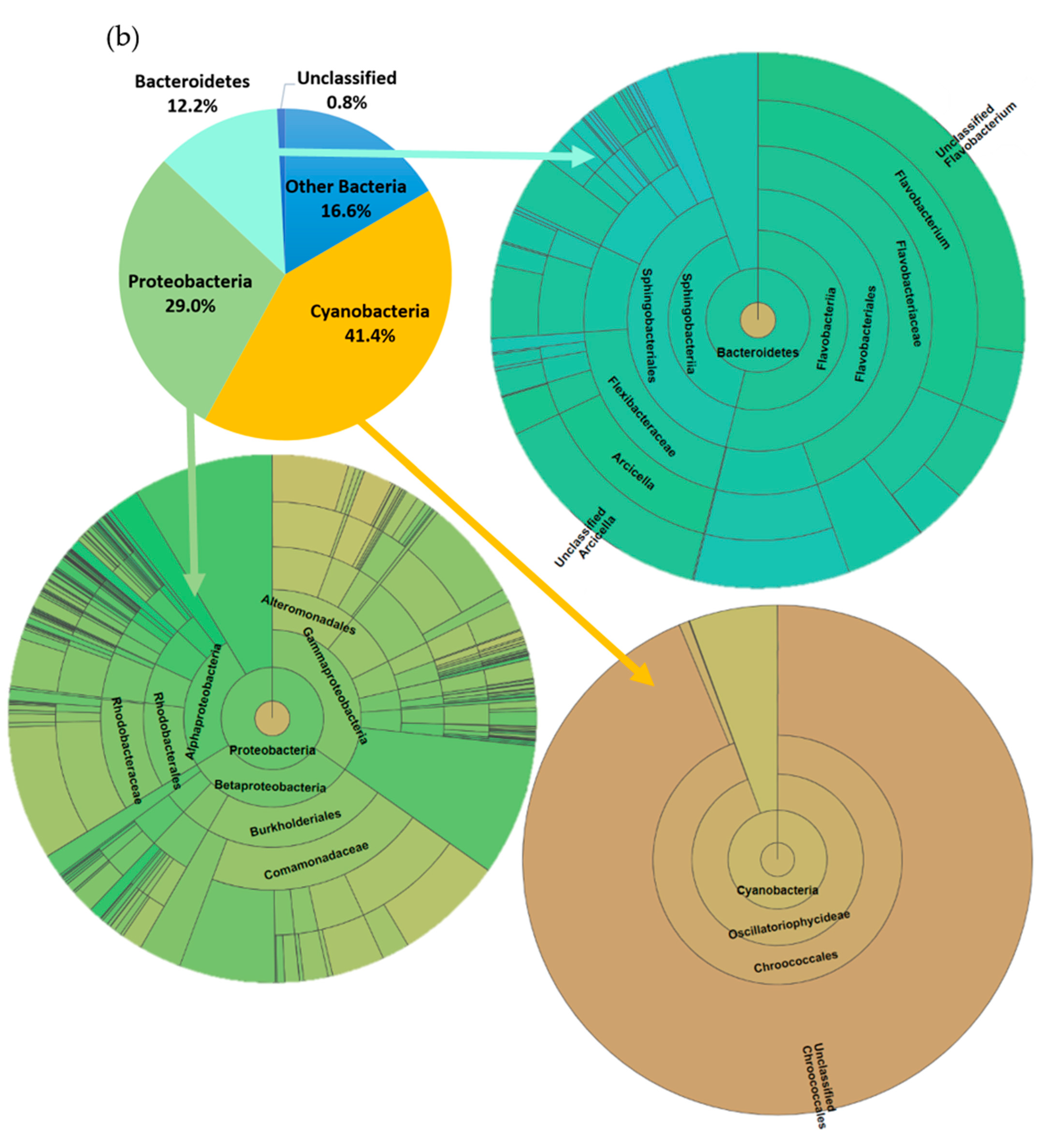 Toxics 12 00115 g002b Toxics 12 00115 g002b