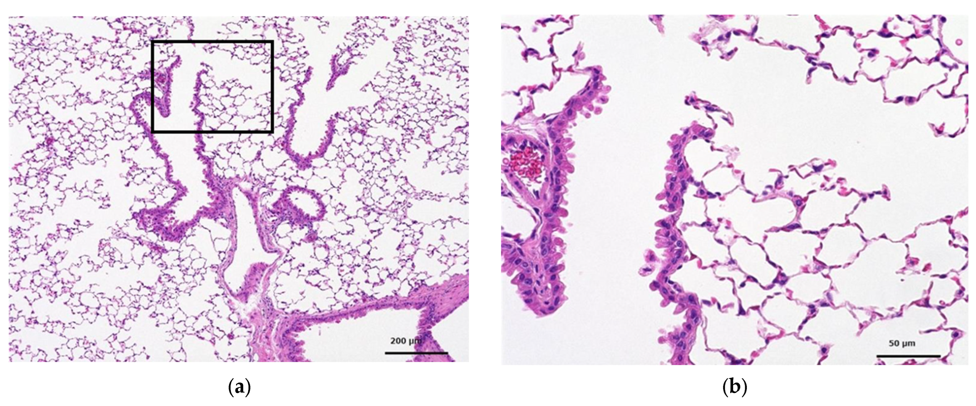 Toxics 12 00121 g003a