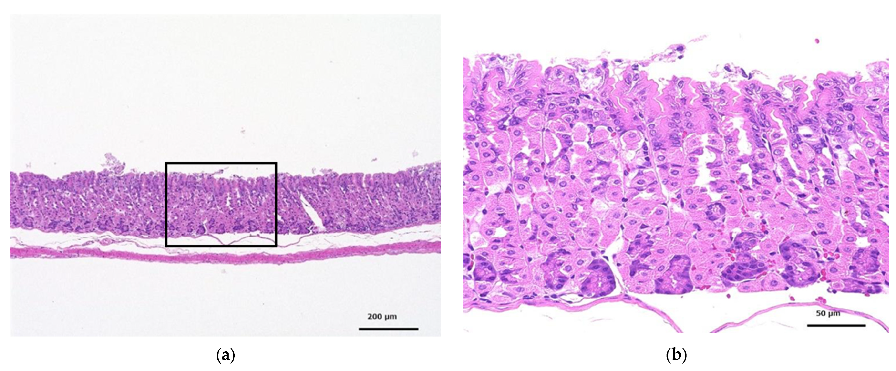 Toxics 12 00121 g006a