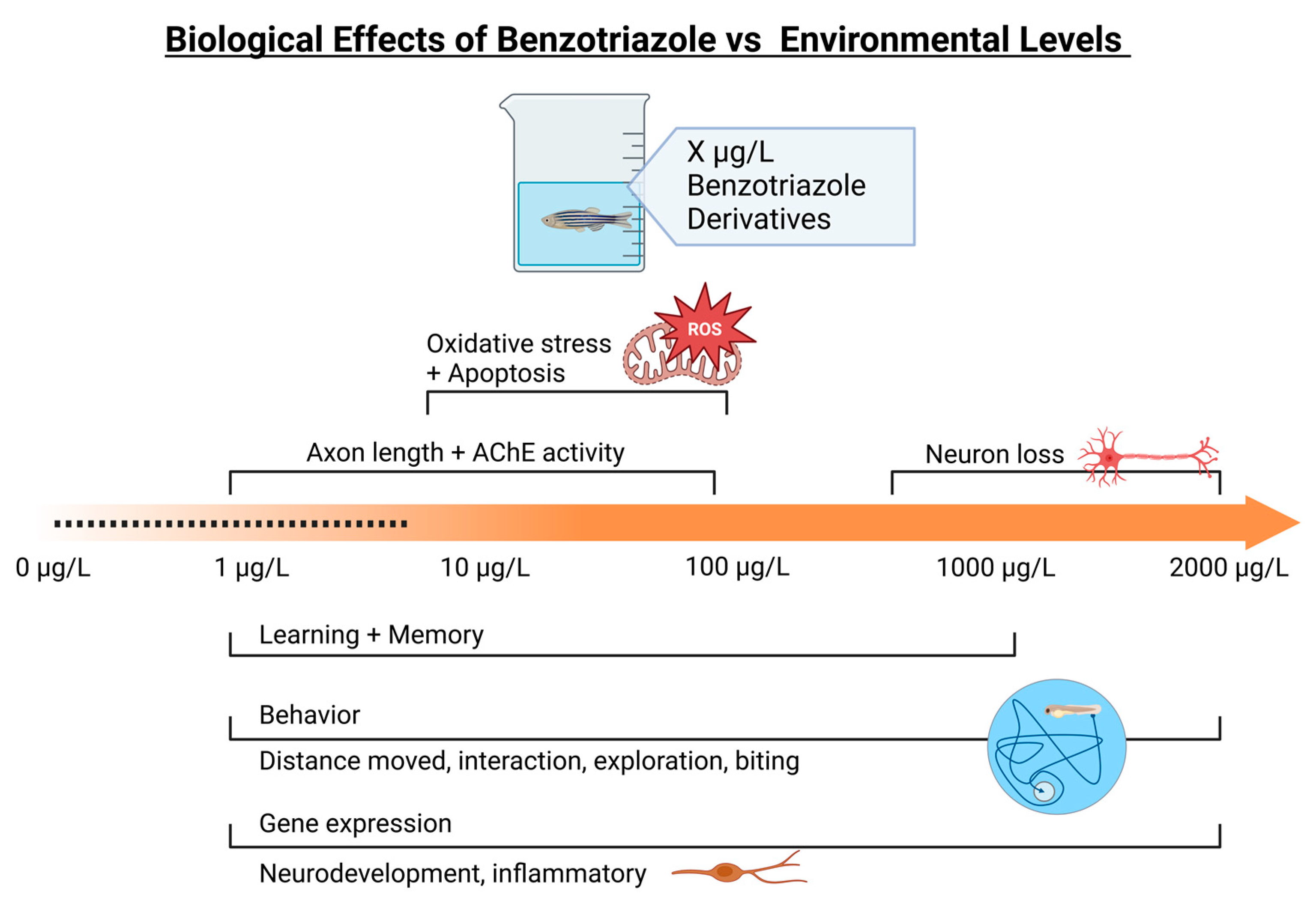 Toxics 12 00125 g005