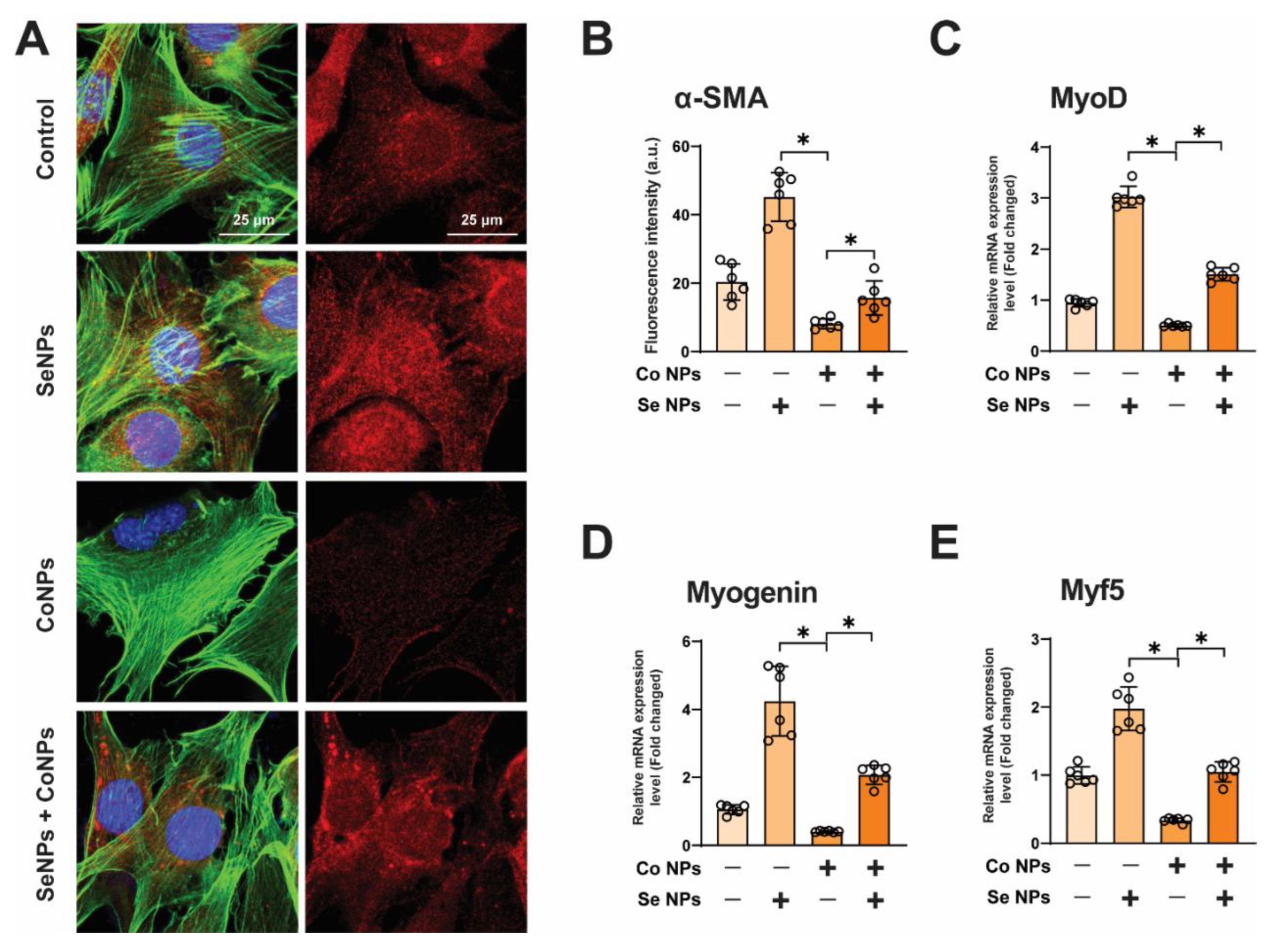 Toxics 12 00130 g005