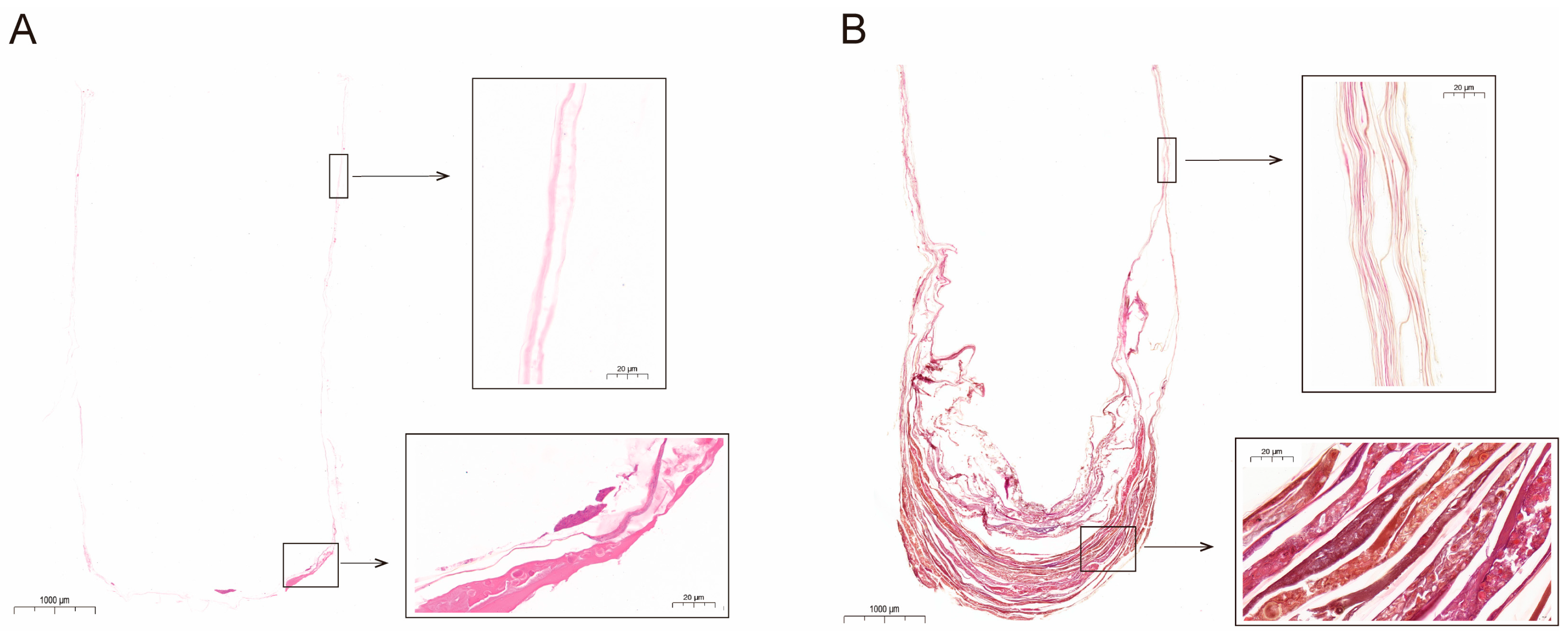 Toxics 12 00131 g003