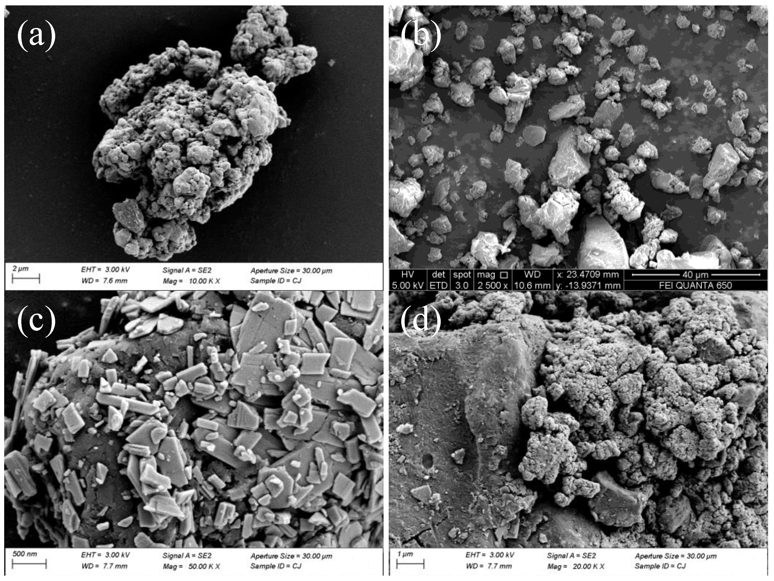 Toxics 12 00133 g001