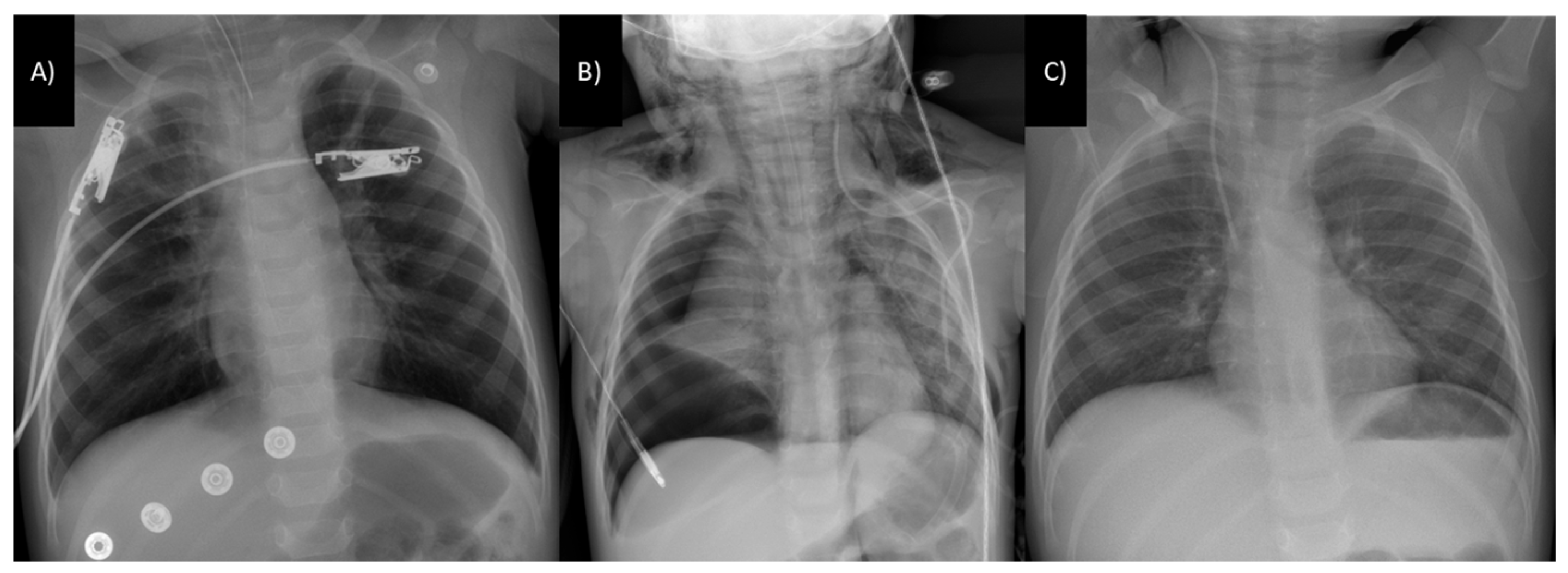 Toxics 12 00139 g001
