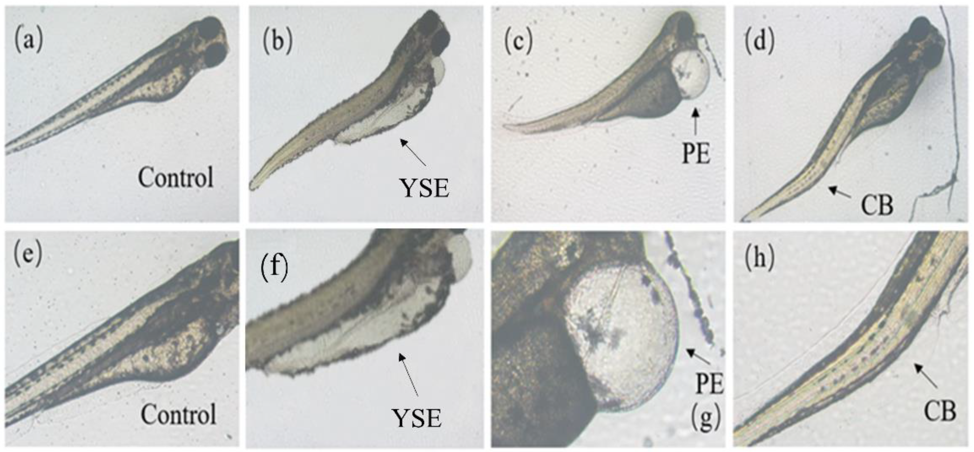 Toxics 12 00146 g003