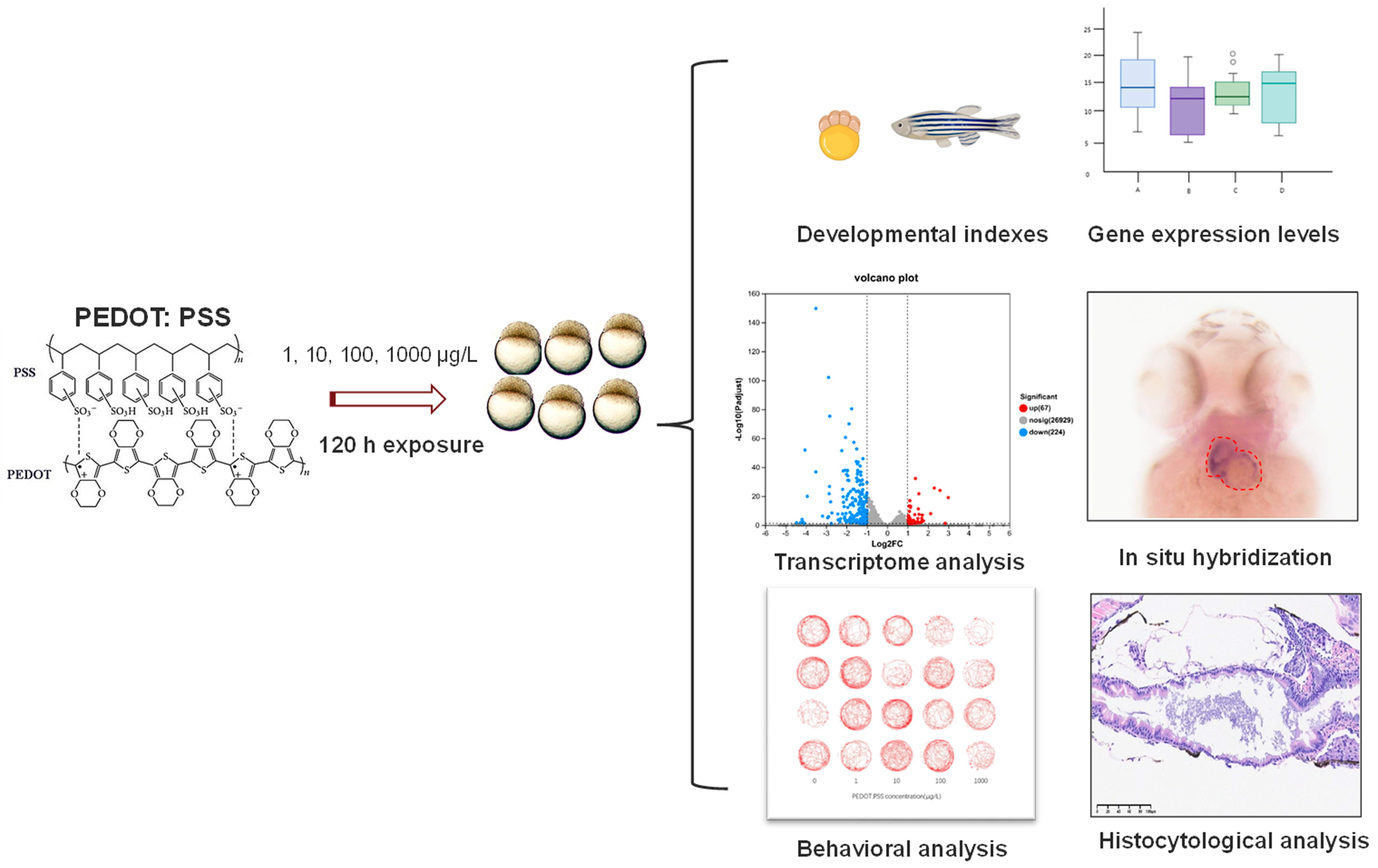Toxics 12 00150 g001
