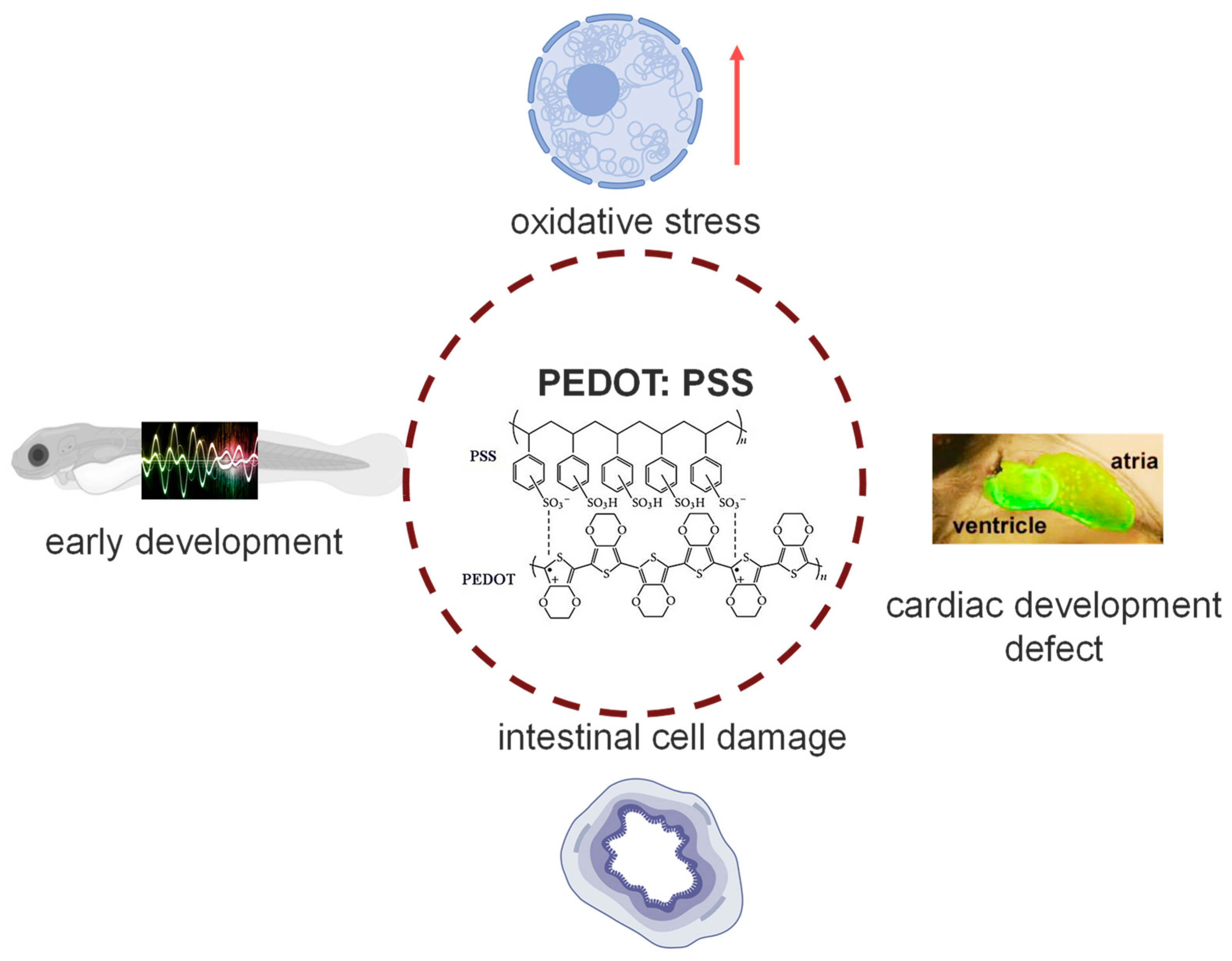 Toxics 12 00150 g008