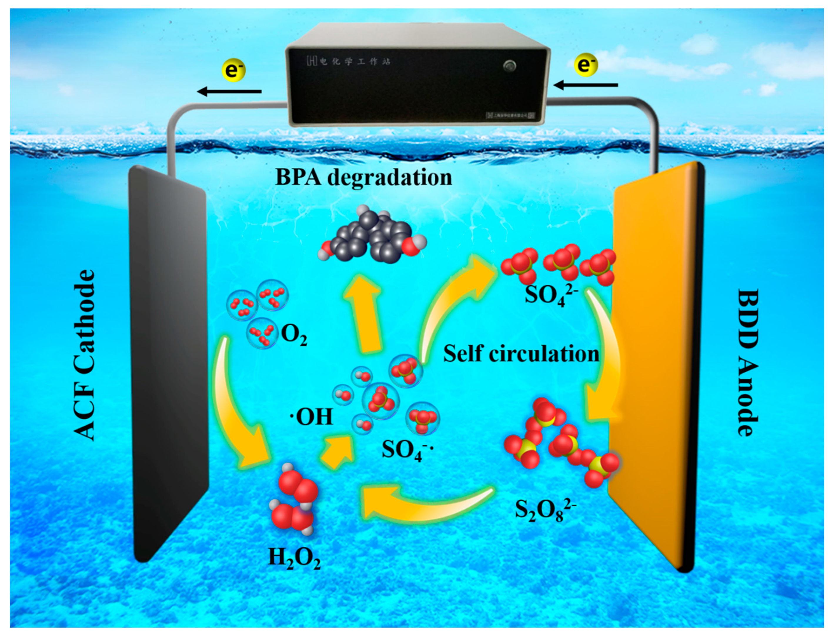 Toxics 12 00156 g008