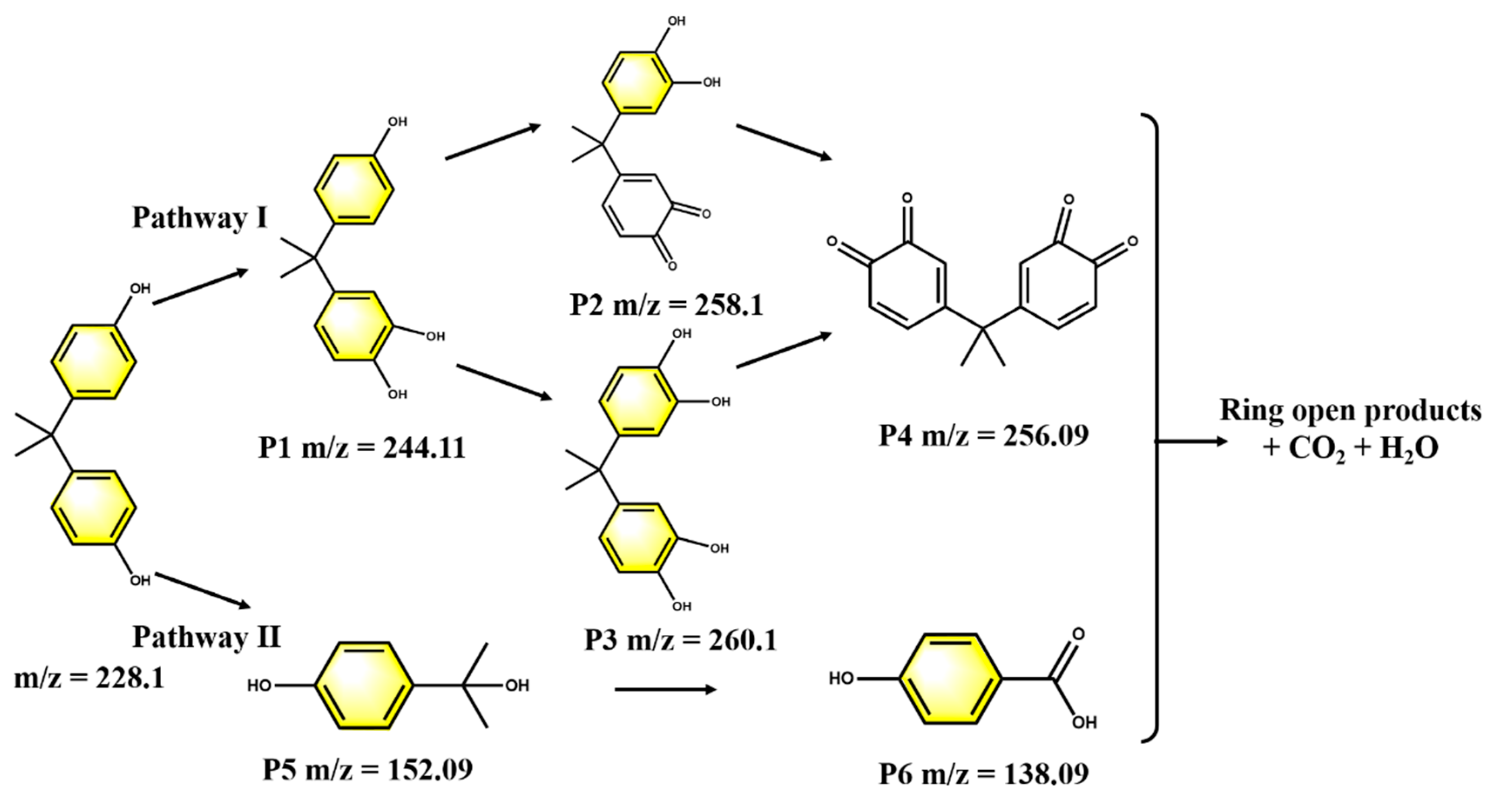 Toxics 12 00156 g009