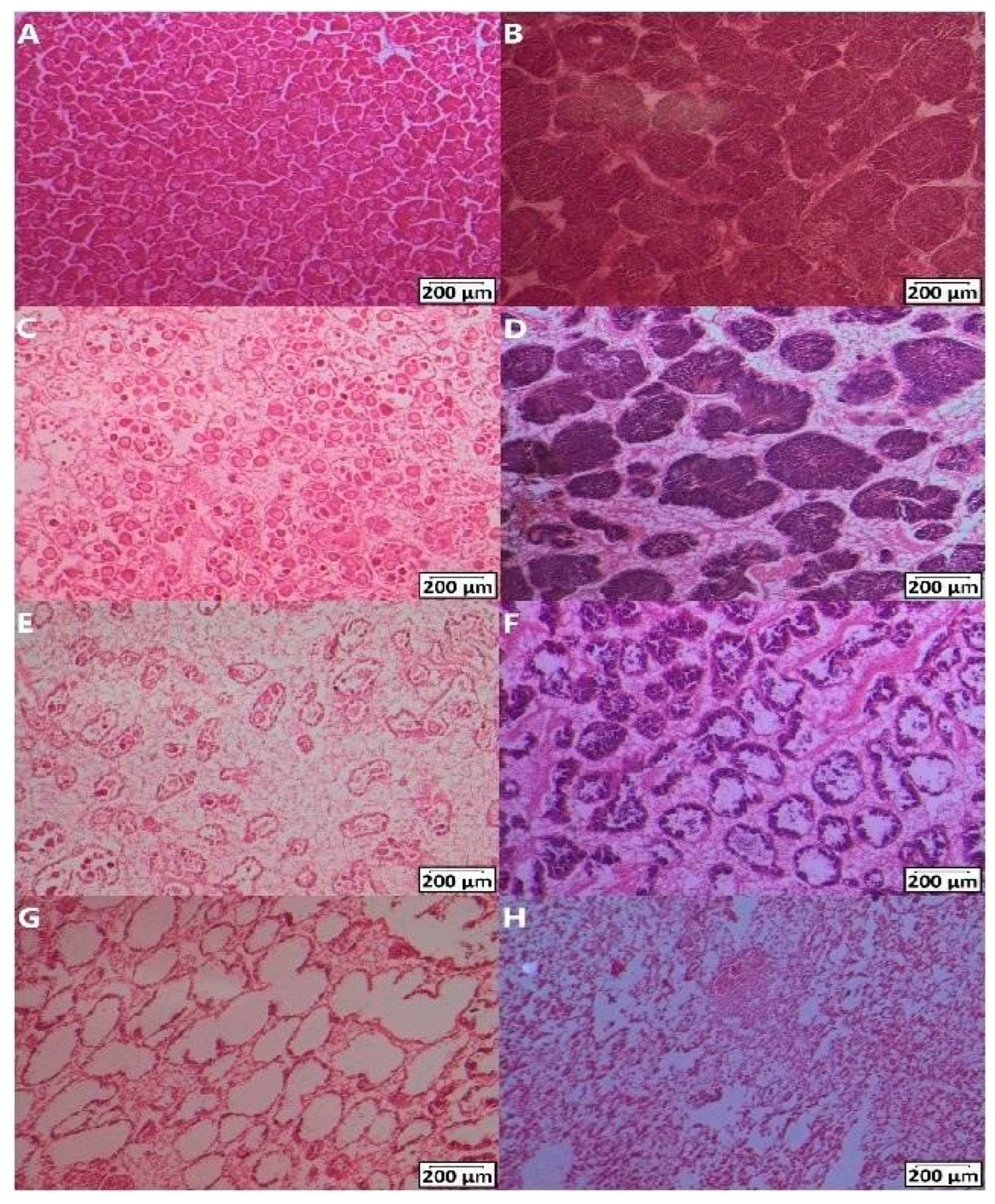 Toxics 12 00172 g001