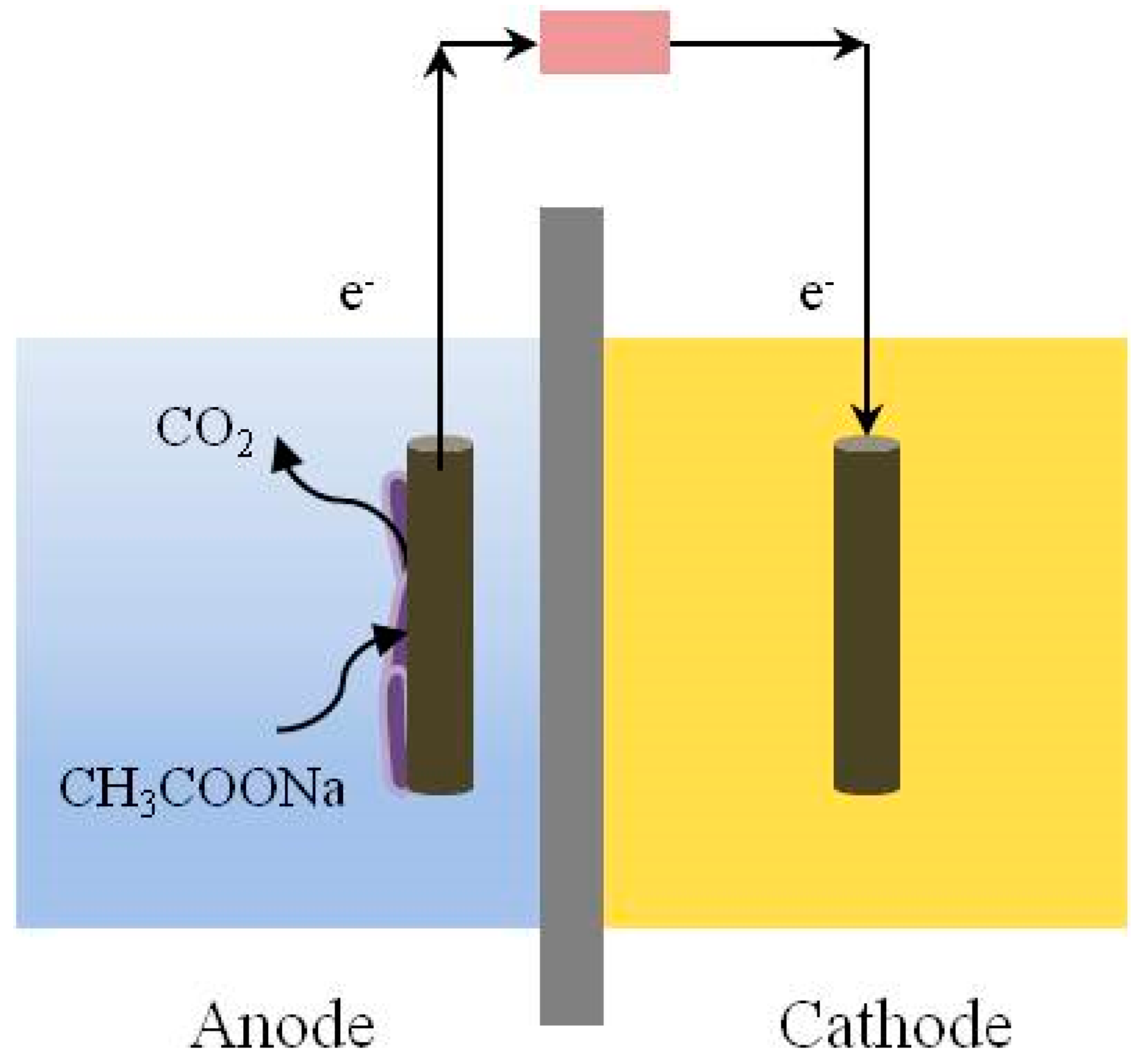 Toxics 12 00173 g002