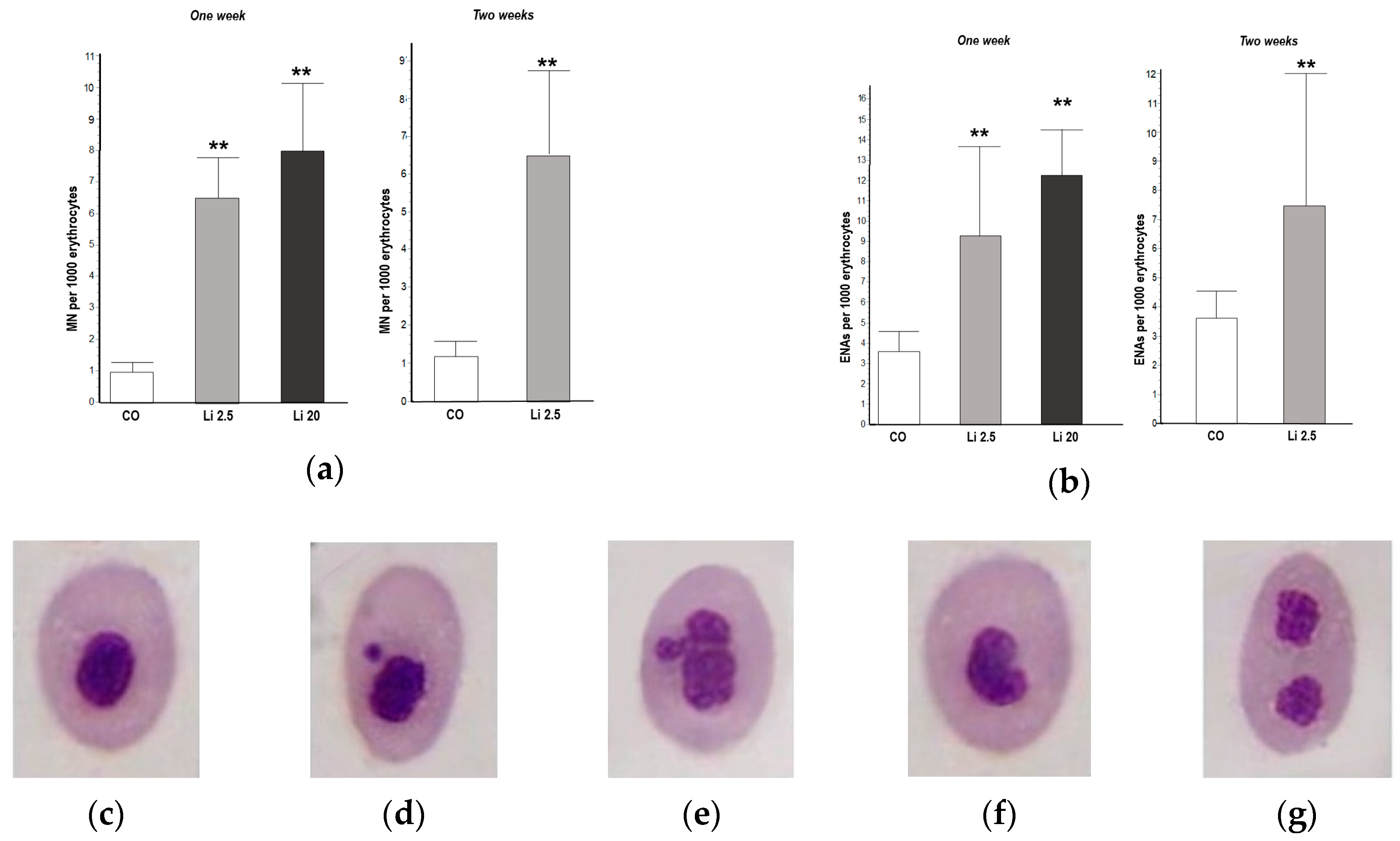 Toxics 12 00176 g003 Toxics 12 00176 g003
