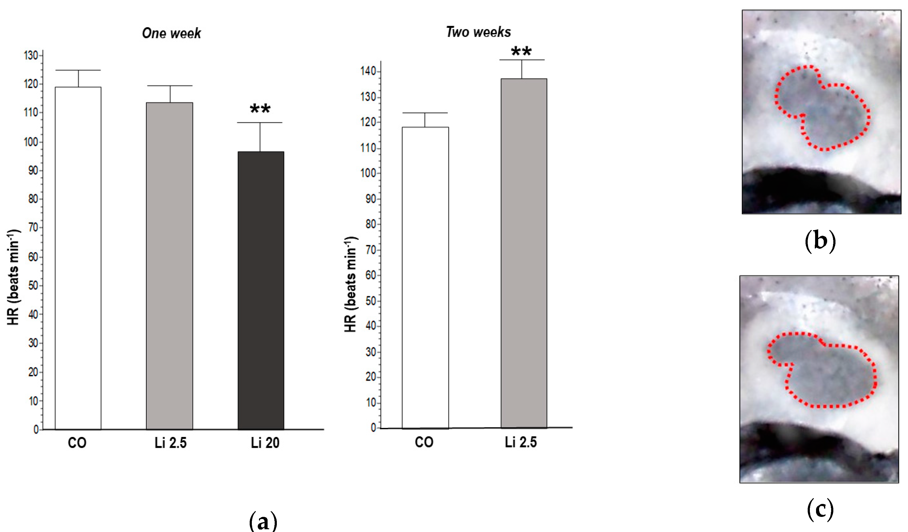 Toxics 12 00176 g004 Toxics 12 00176 g004