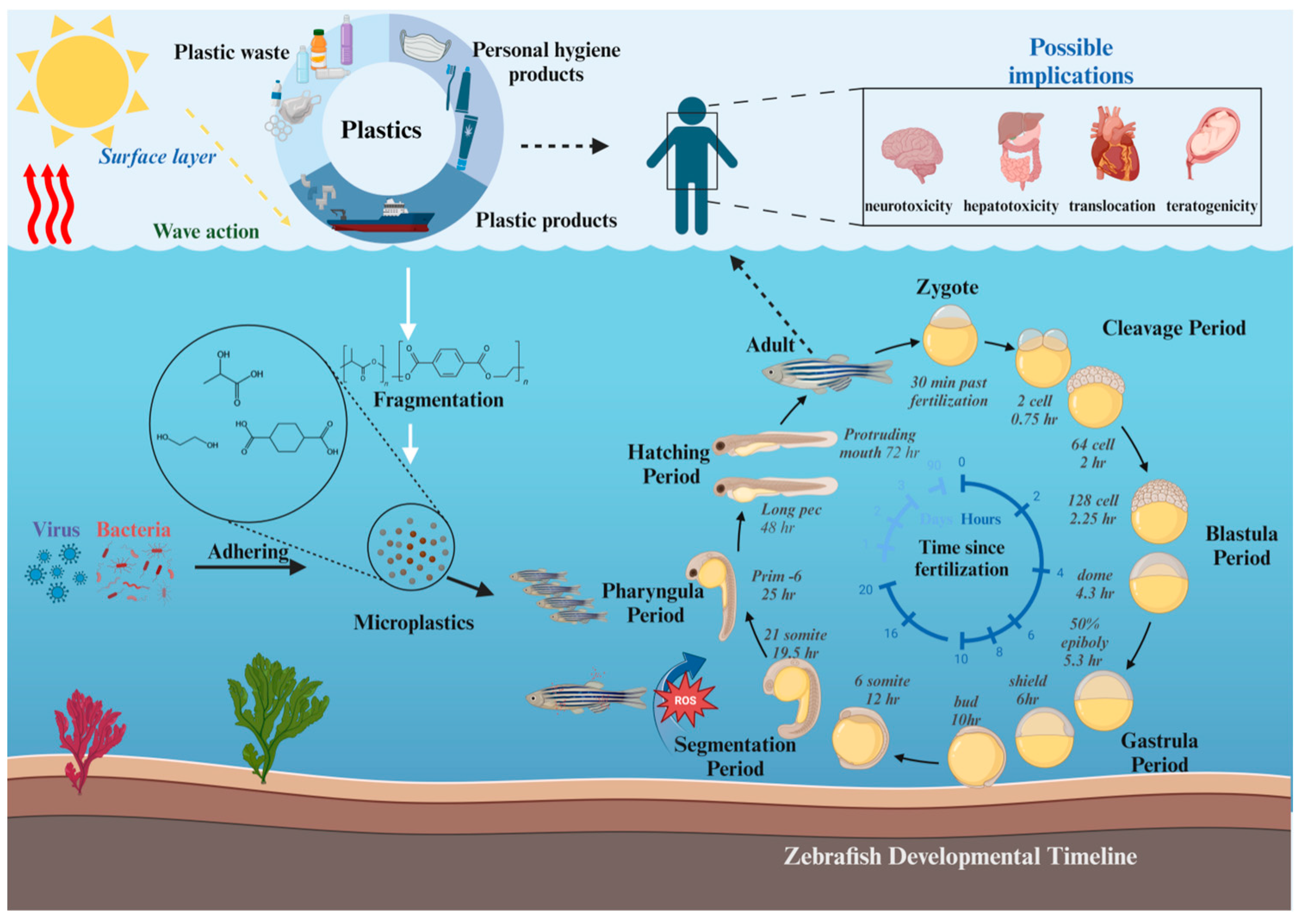 Toxics 12 00178 g001