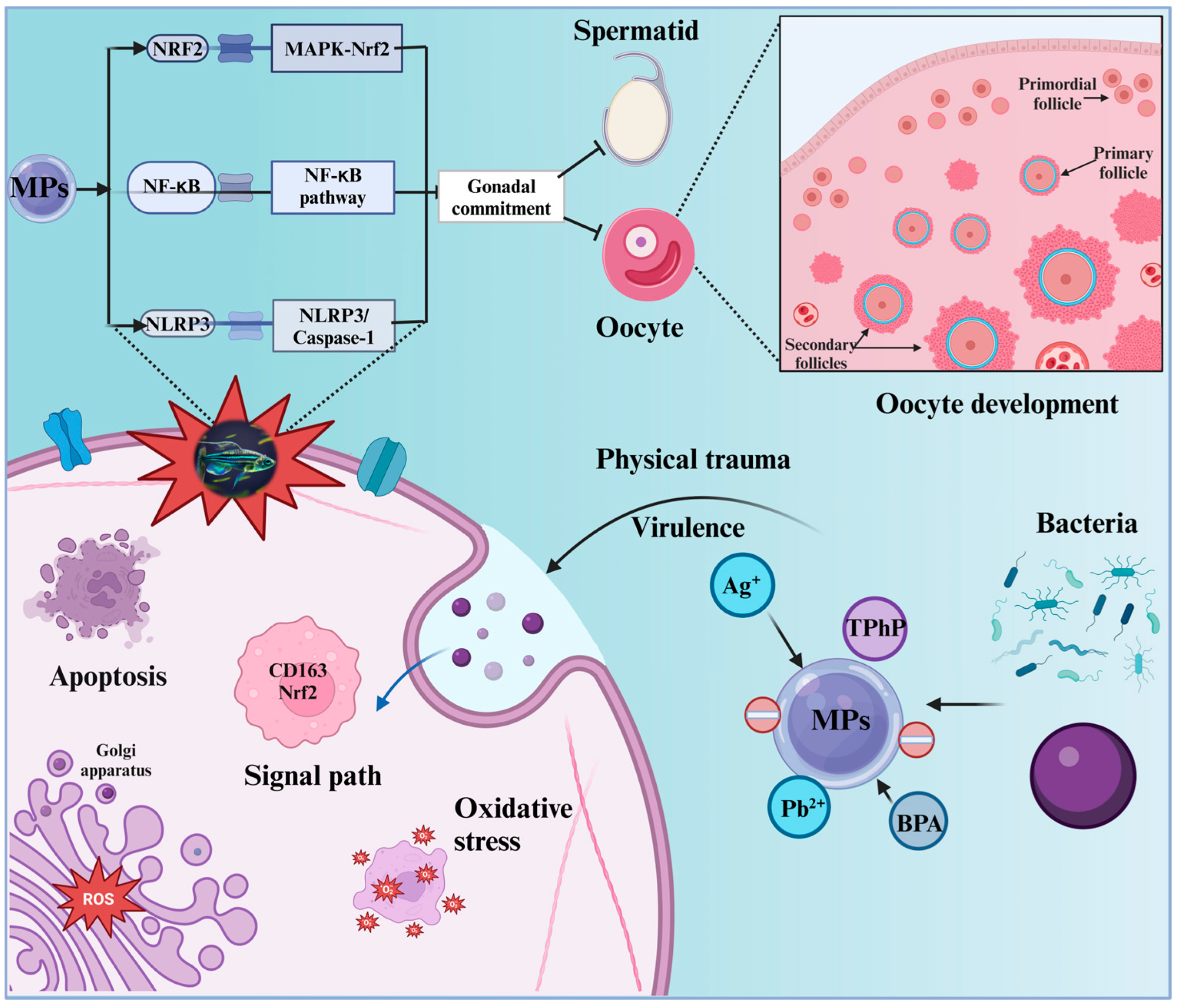 Toxics 12 00178 g004