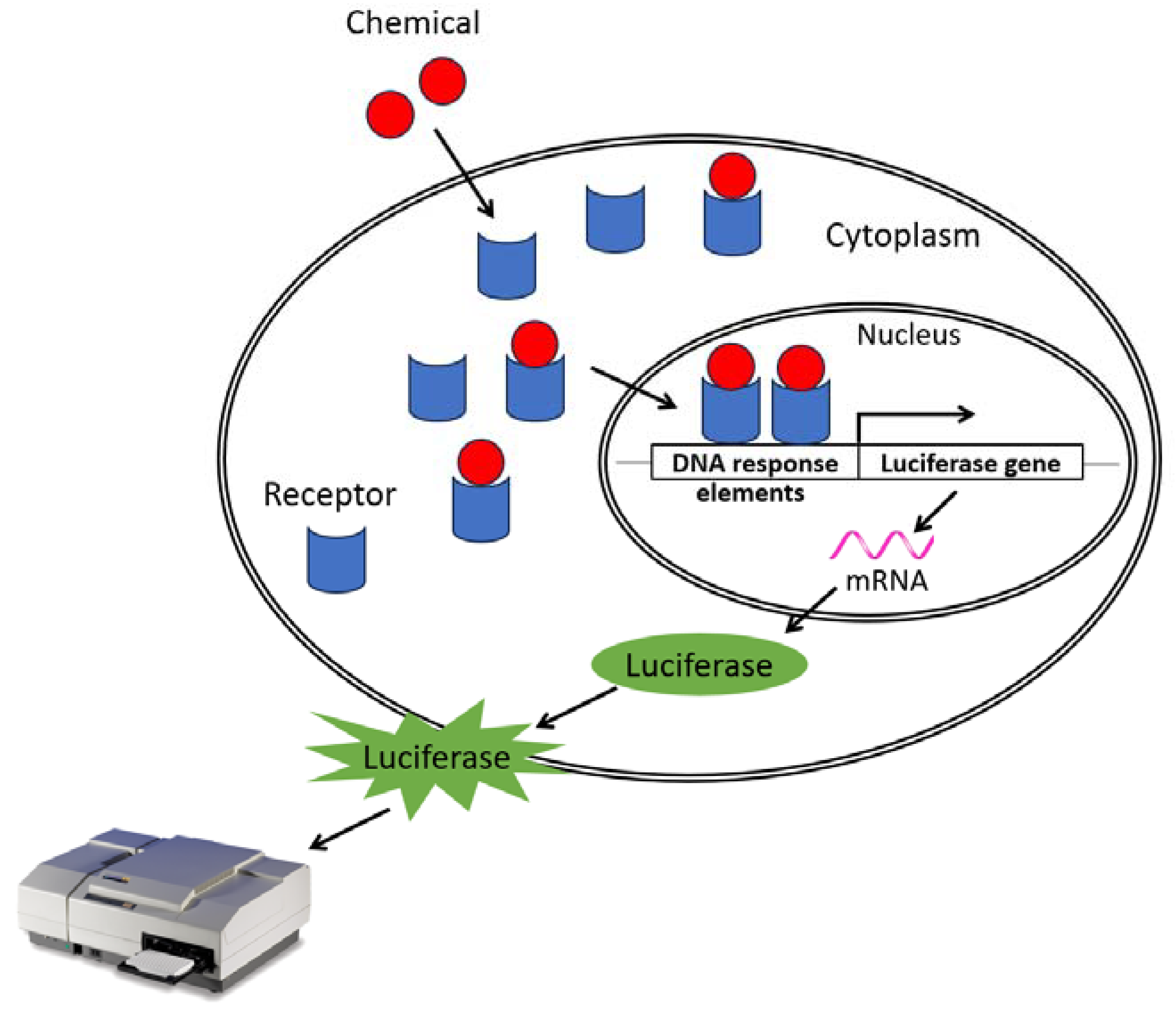 Toxics 12 00183 g001