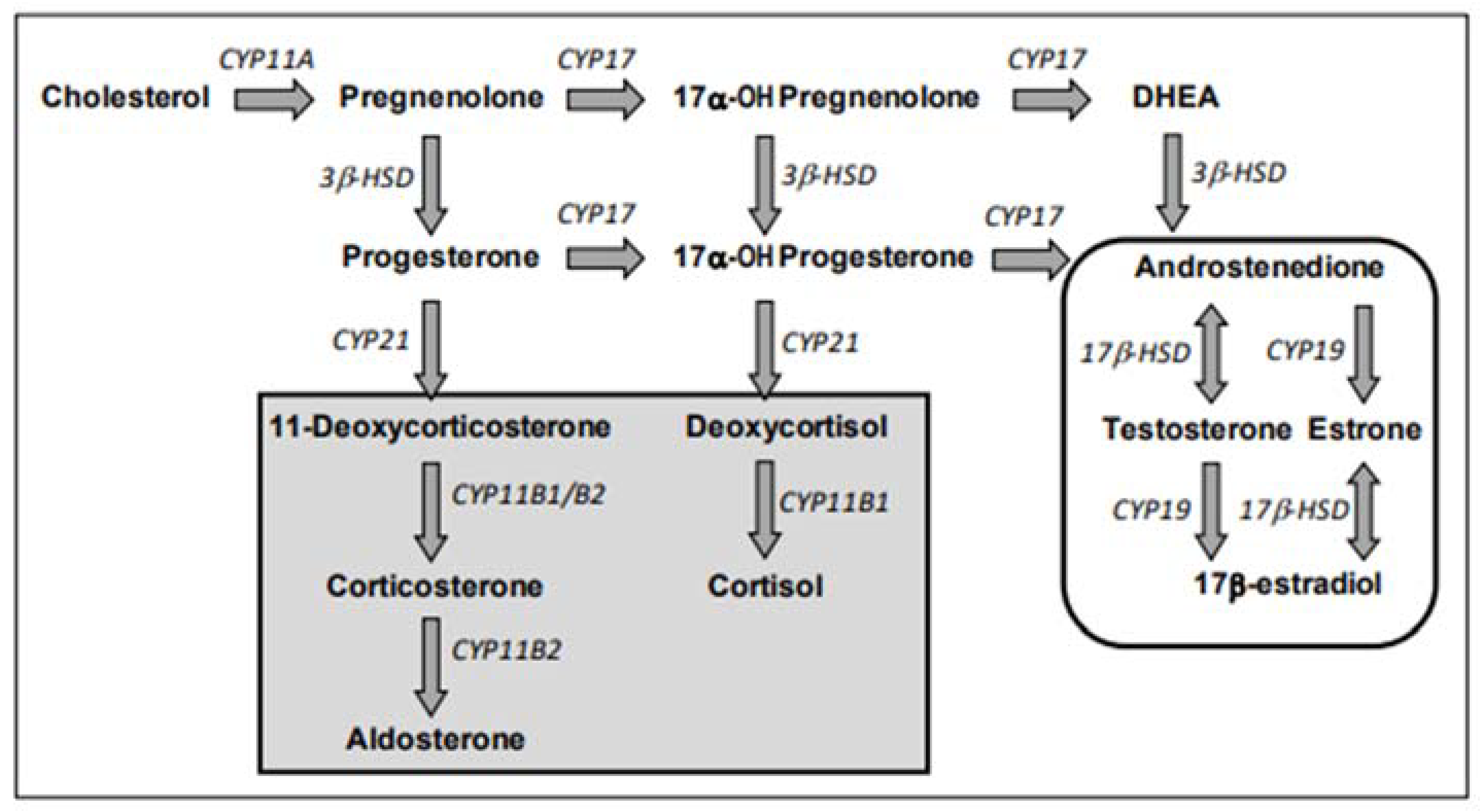 Toxics 12 00183 g002