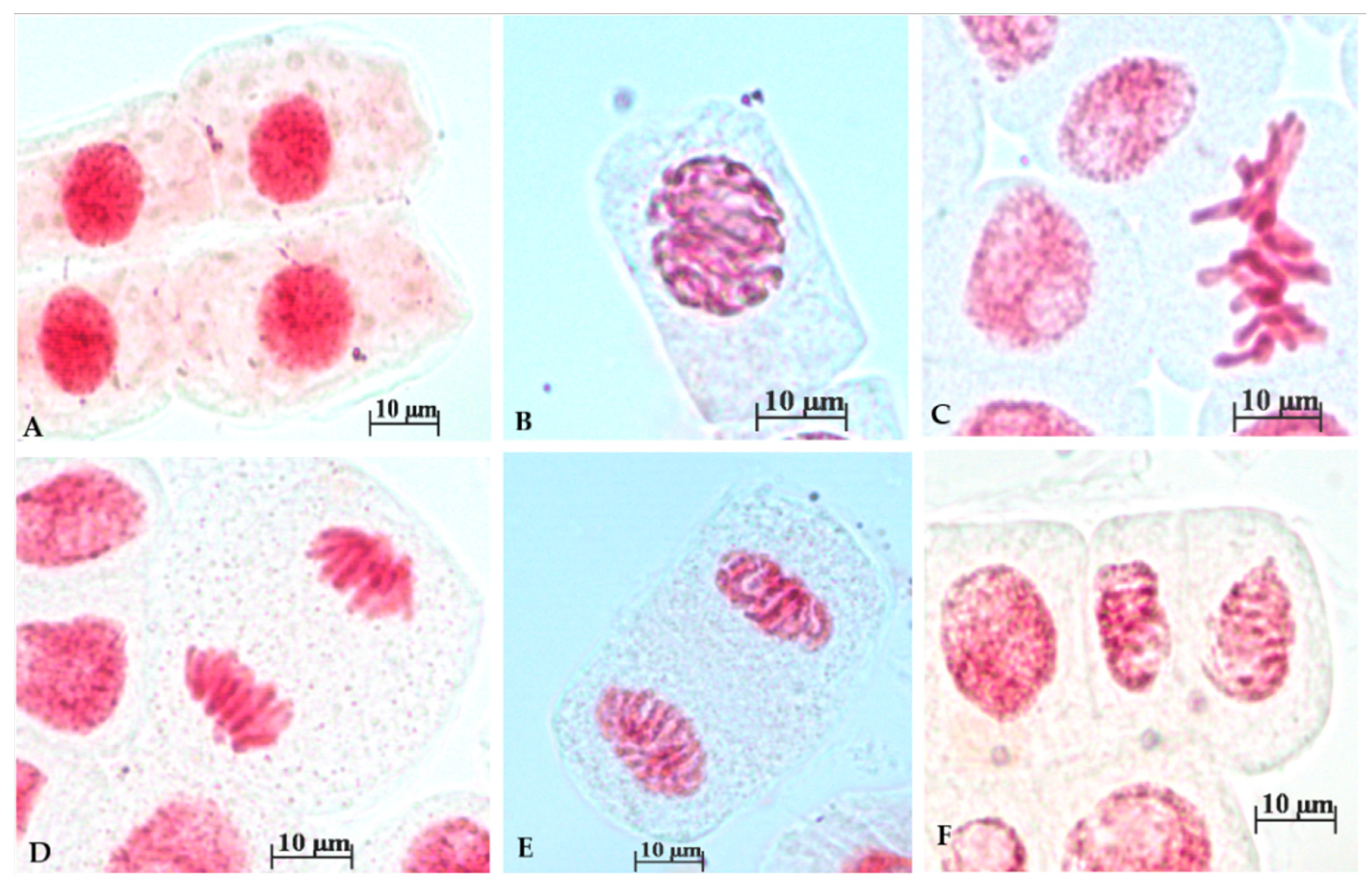 Toxics 12 00194 g002