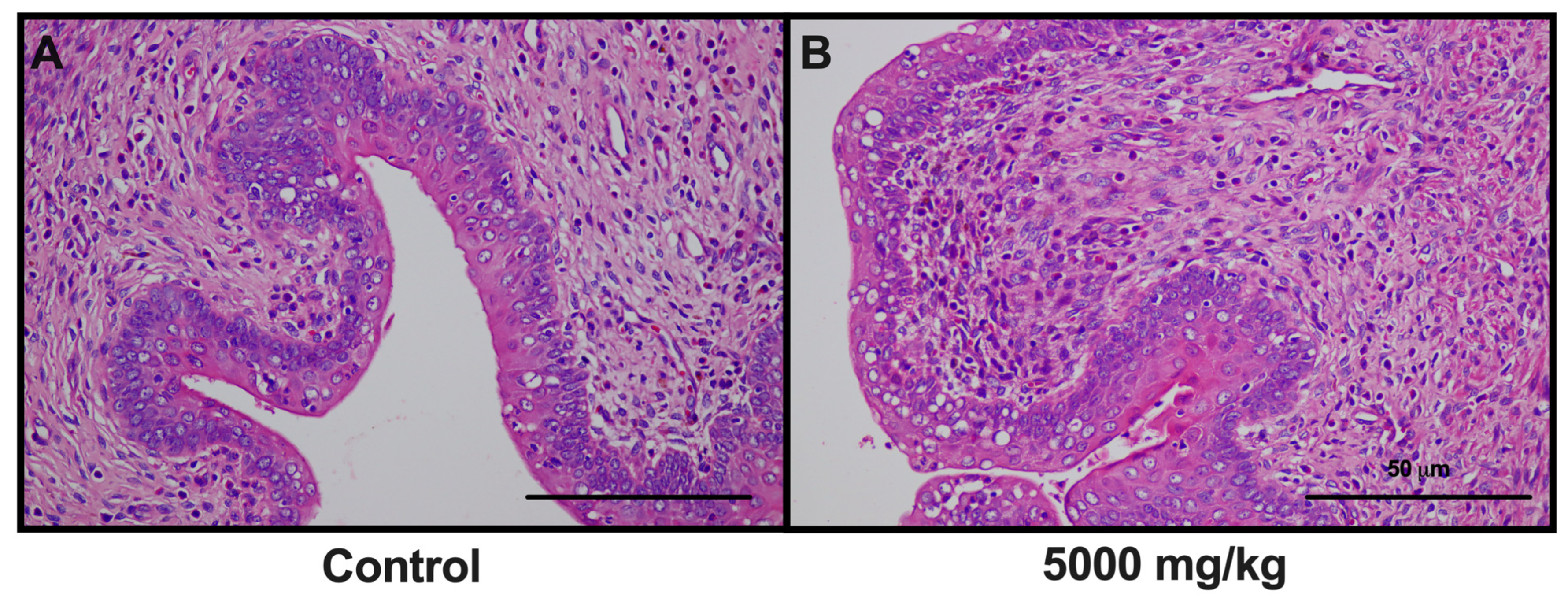 Toxics 12 00198 g002