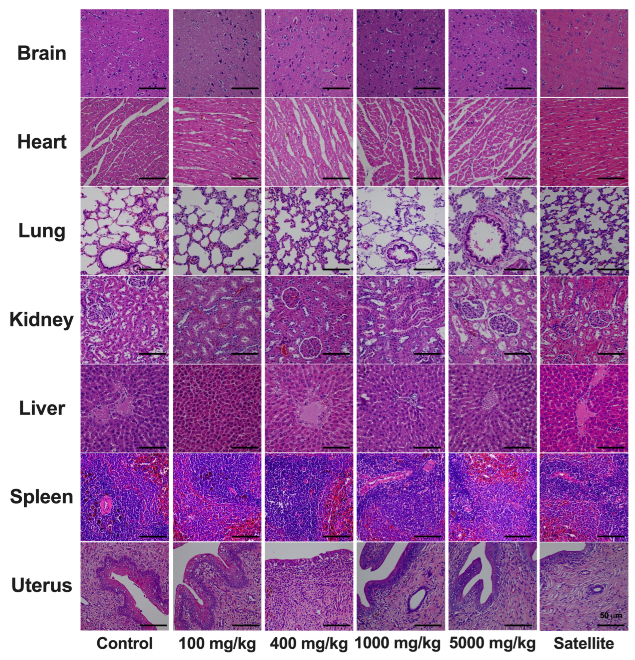 Toxics 12 00198 g003