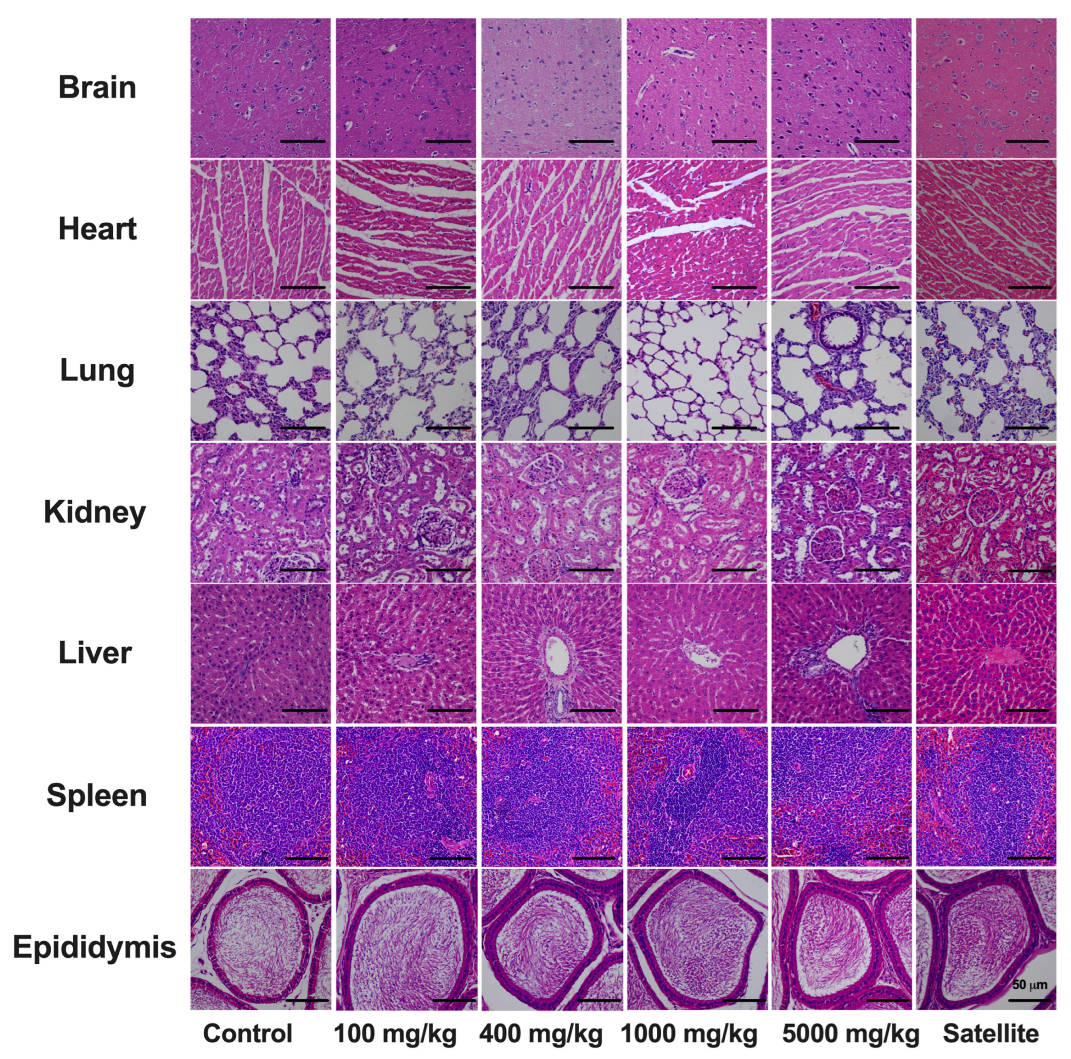 Toxics 12 00198 g004