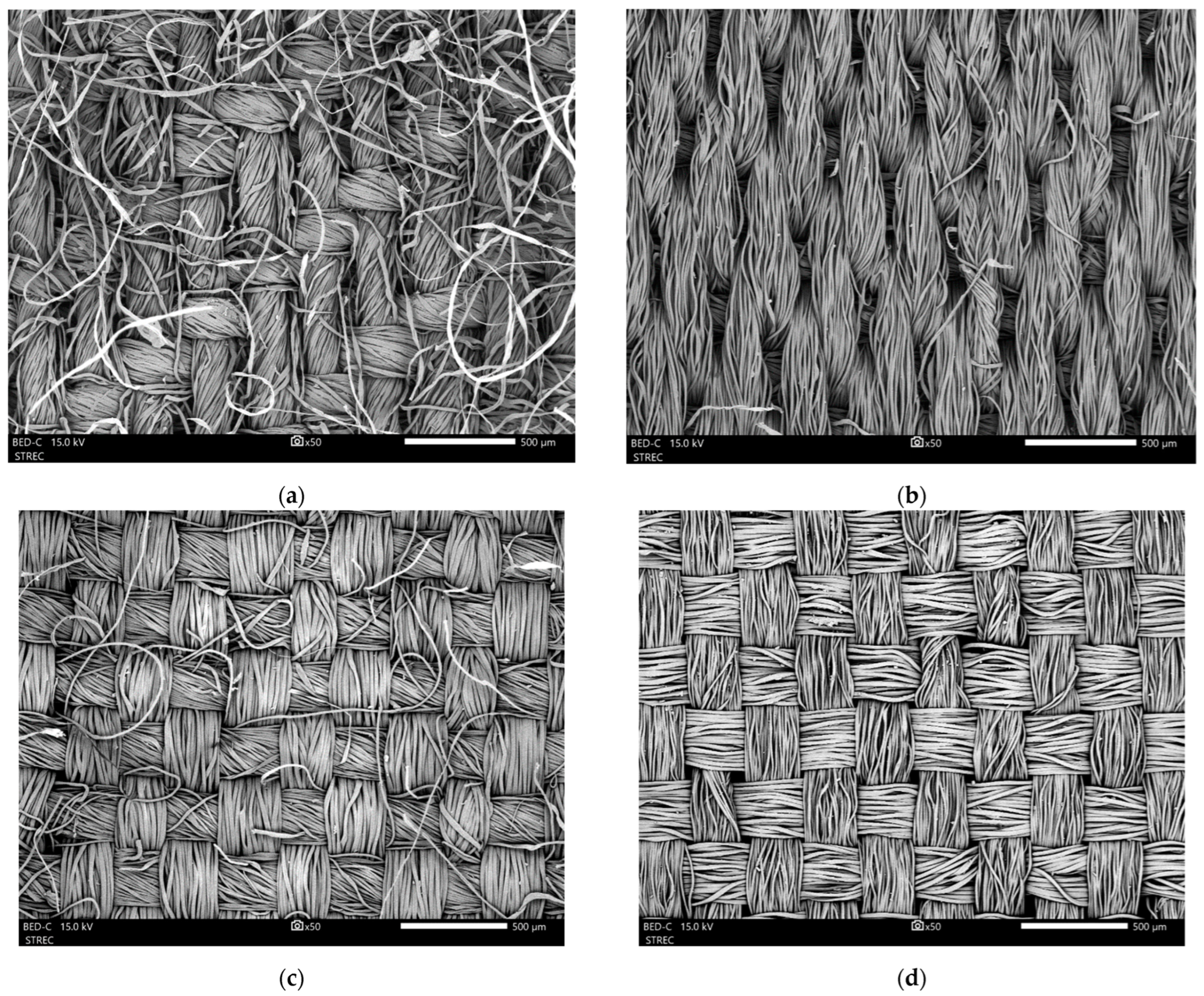 Toxics 12 00210 g006