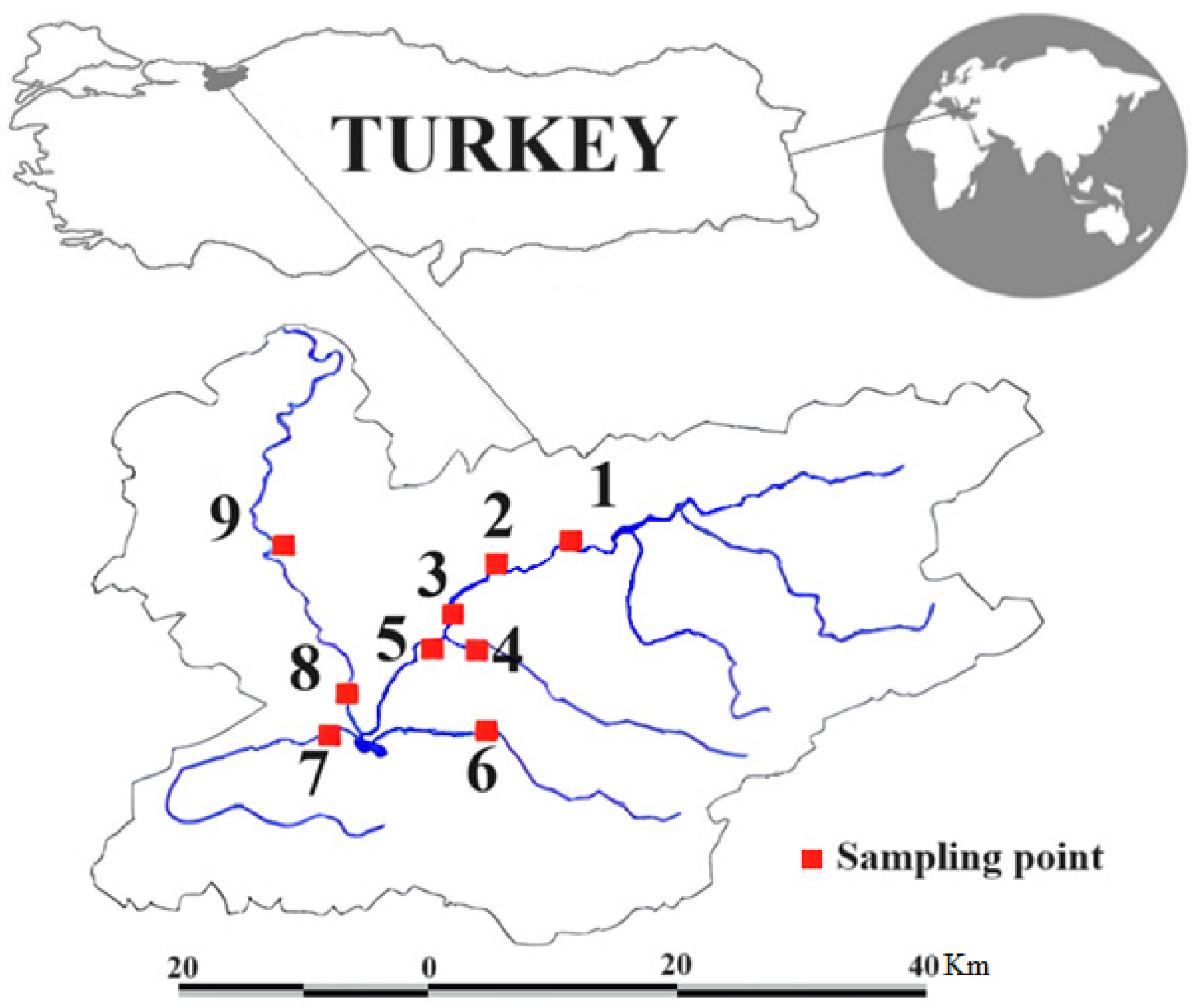 Toxics 12 00213 g001