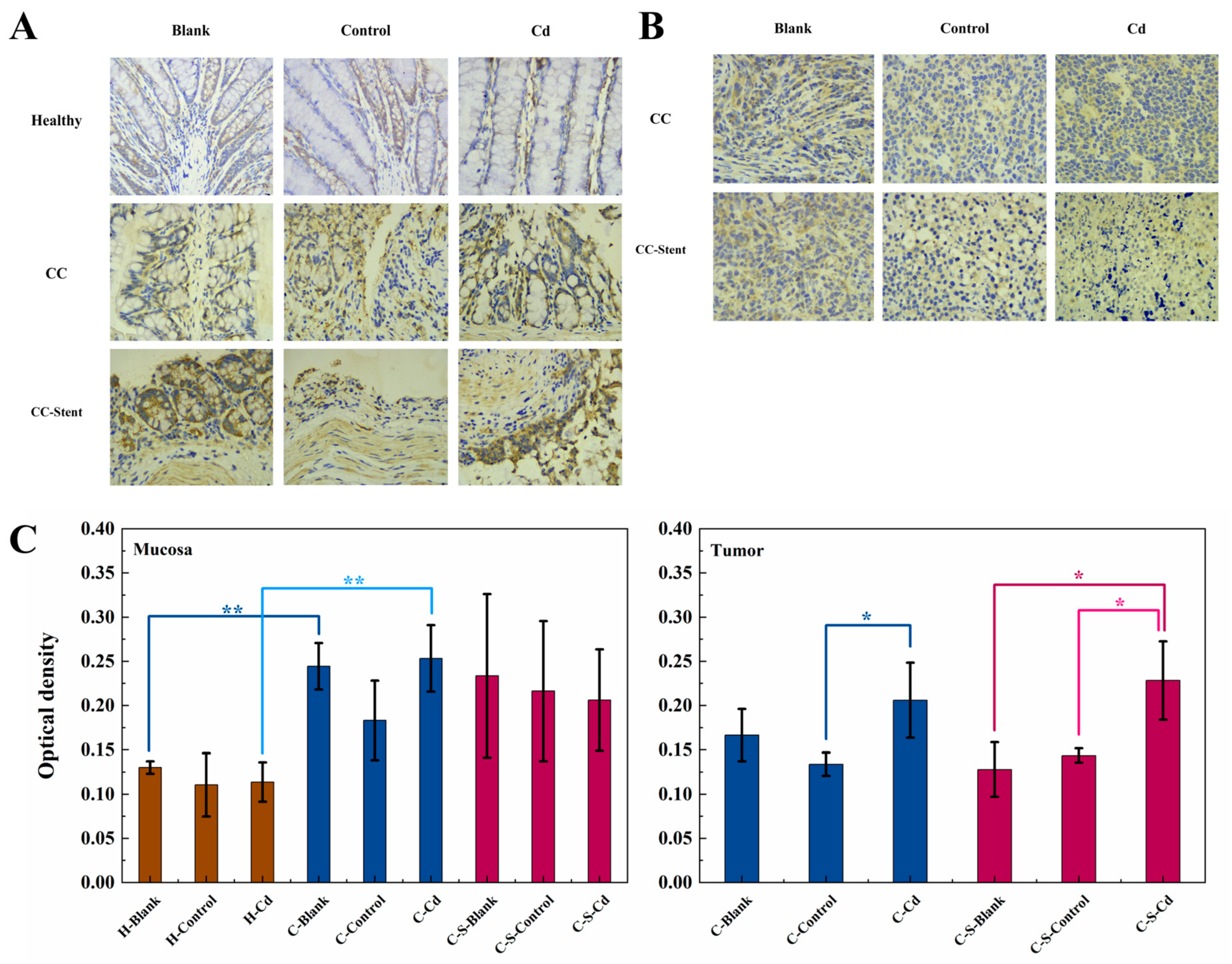 Toxics 12 00215 g005