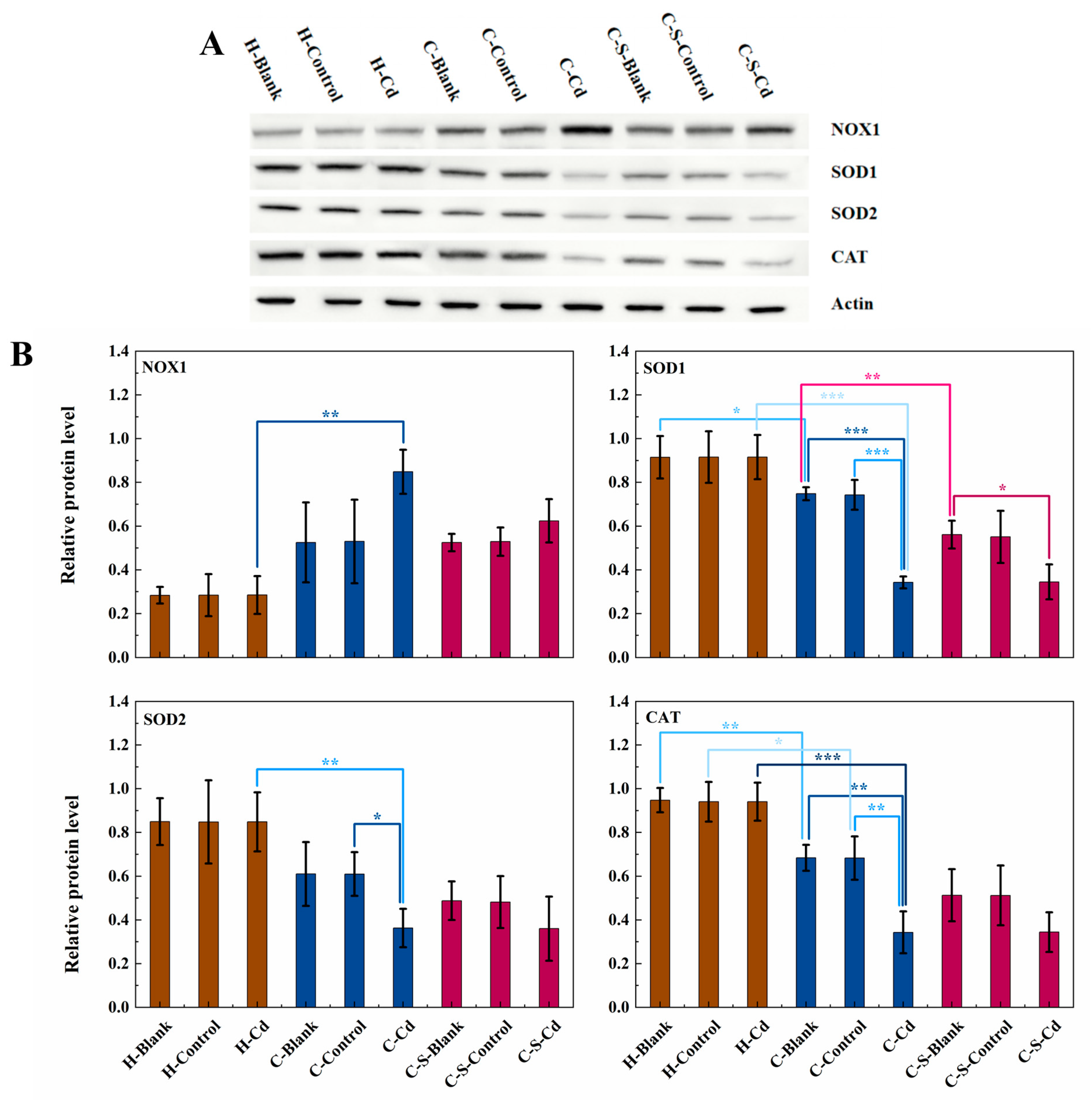 Toxics 12 00215 g006