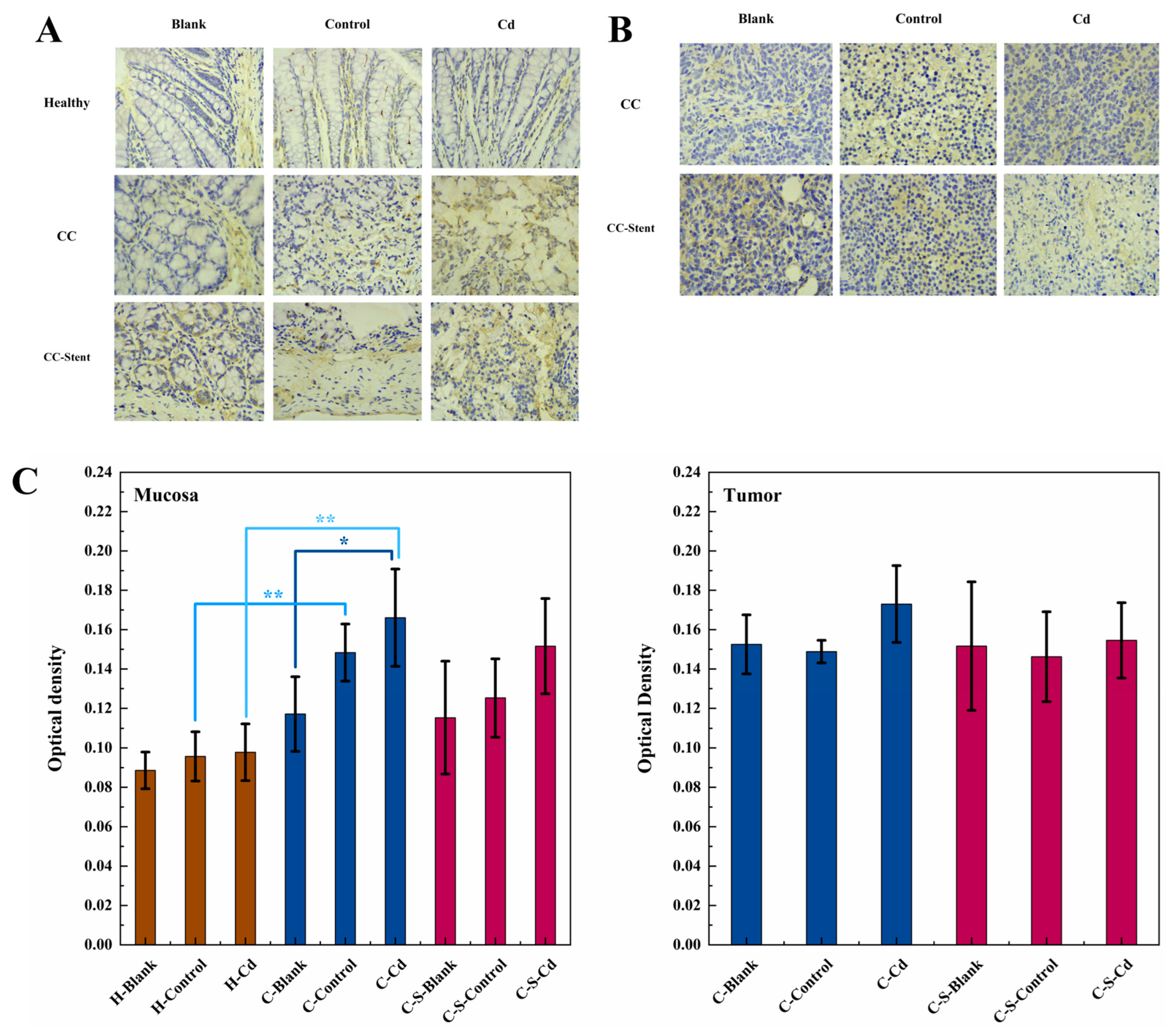 Toxics 12 00215 g007