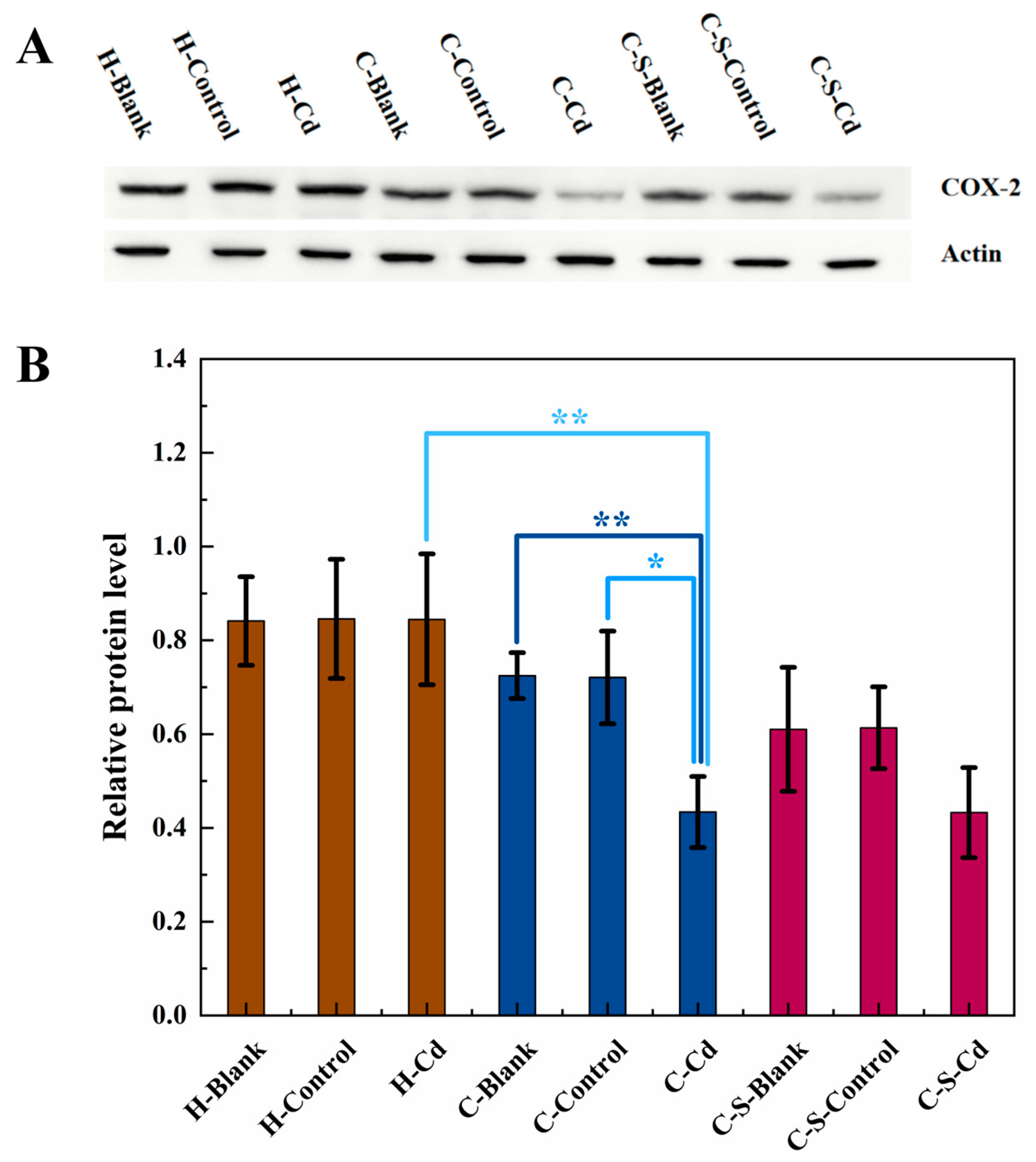 Toxics 12 00215 g010
