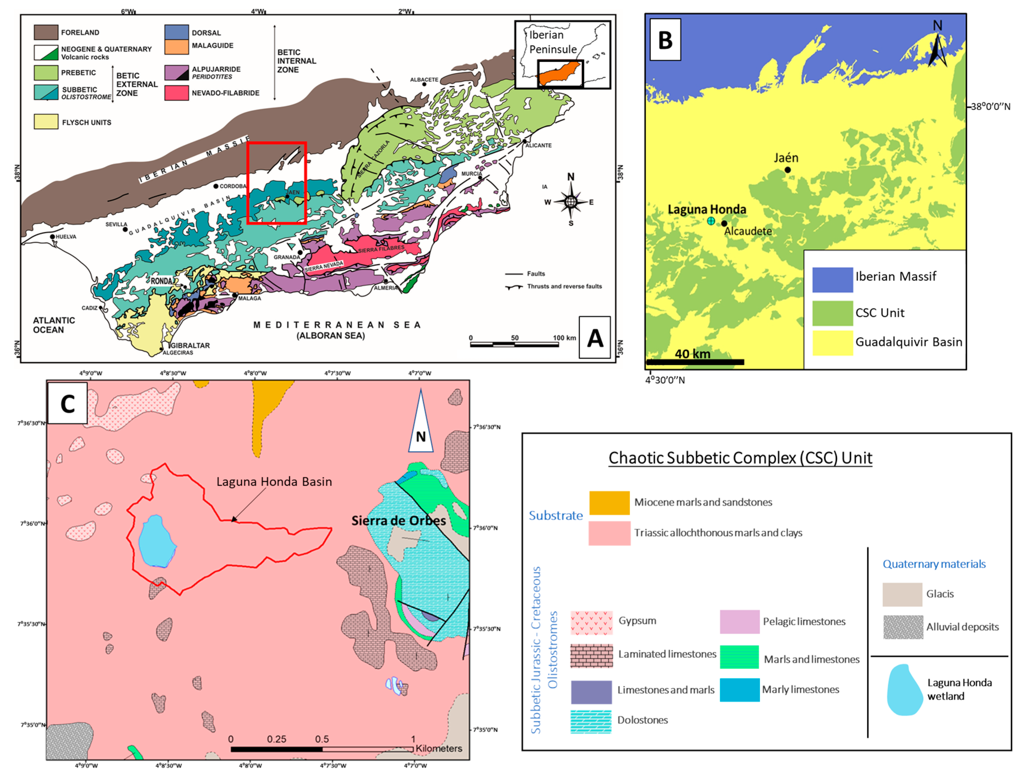 Anomalous Gold Concentrations in Hypersaline Wetland Anomalous Gold Concentrations in Hypersaline Wetland