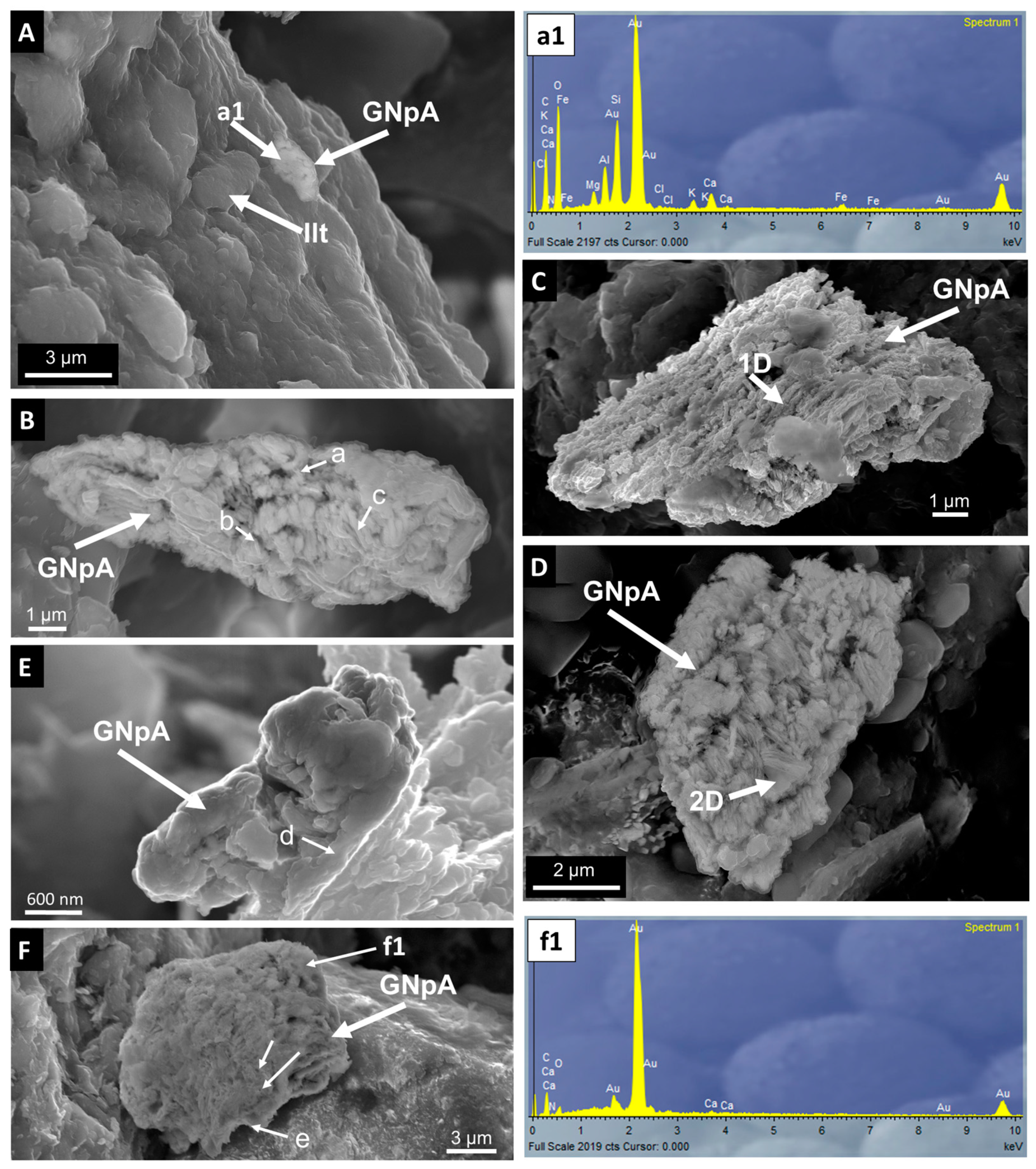 Toxics 12 00223 g006