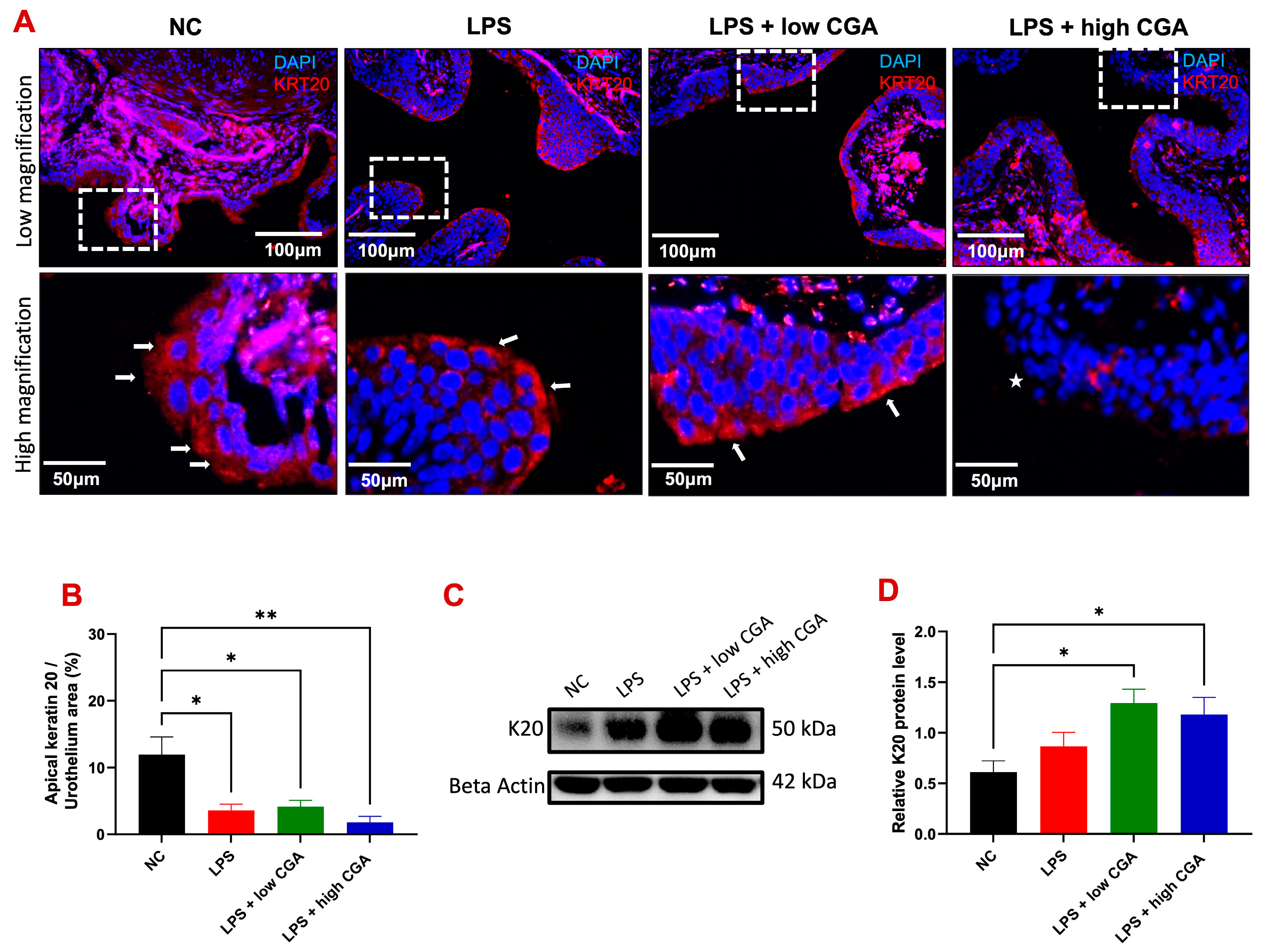 Toxics 12 00239 g004