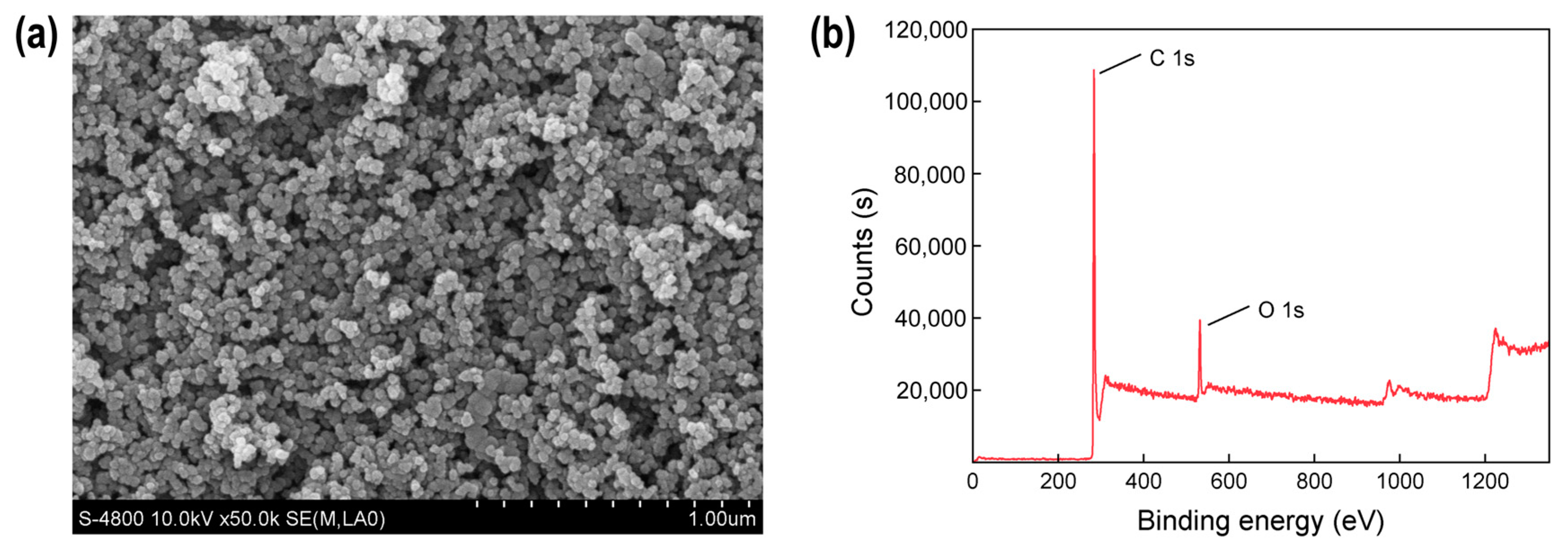 Toxics 12 00251 g001