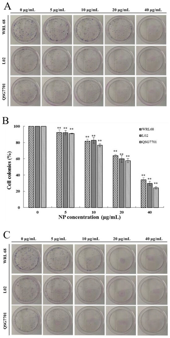 ピクセル Natural Pyrethrin-Induced Oxidative Damage in Human Liver