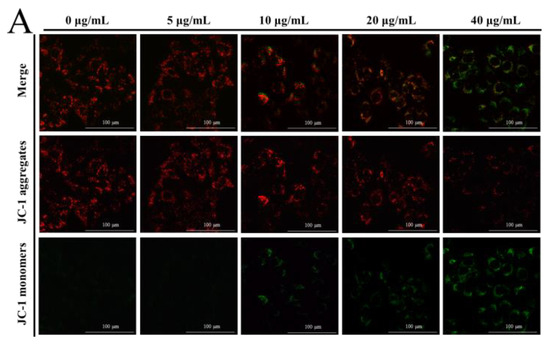 えりあ Natural Pyrethrin-Induced Oxidative Damage in Human Liver
